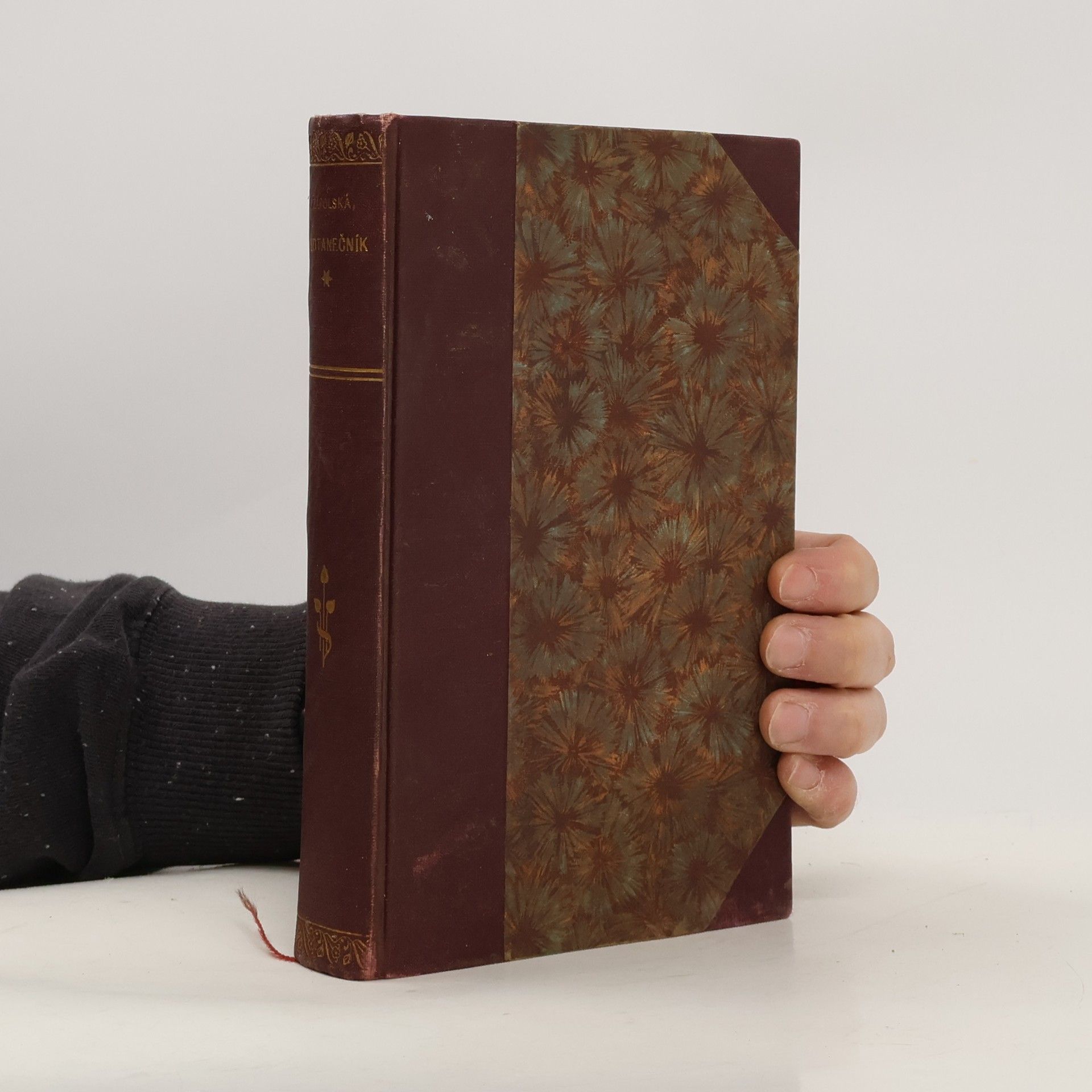 Gabriela Zapolska Předtanečník