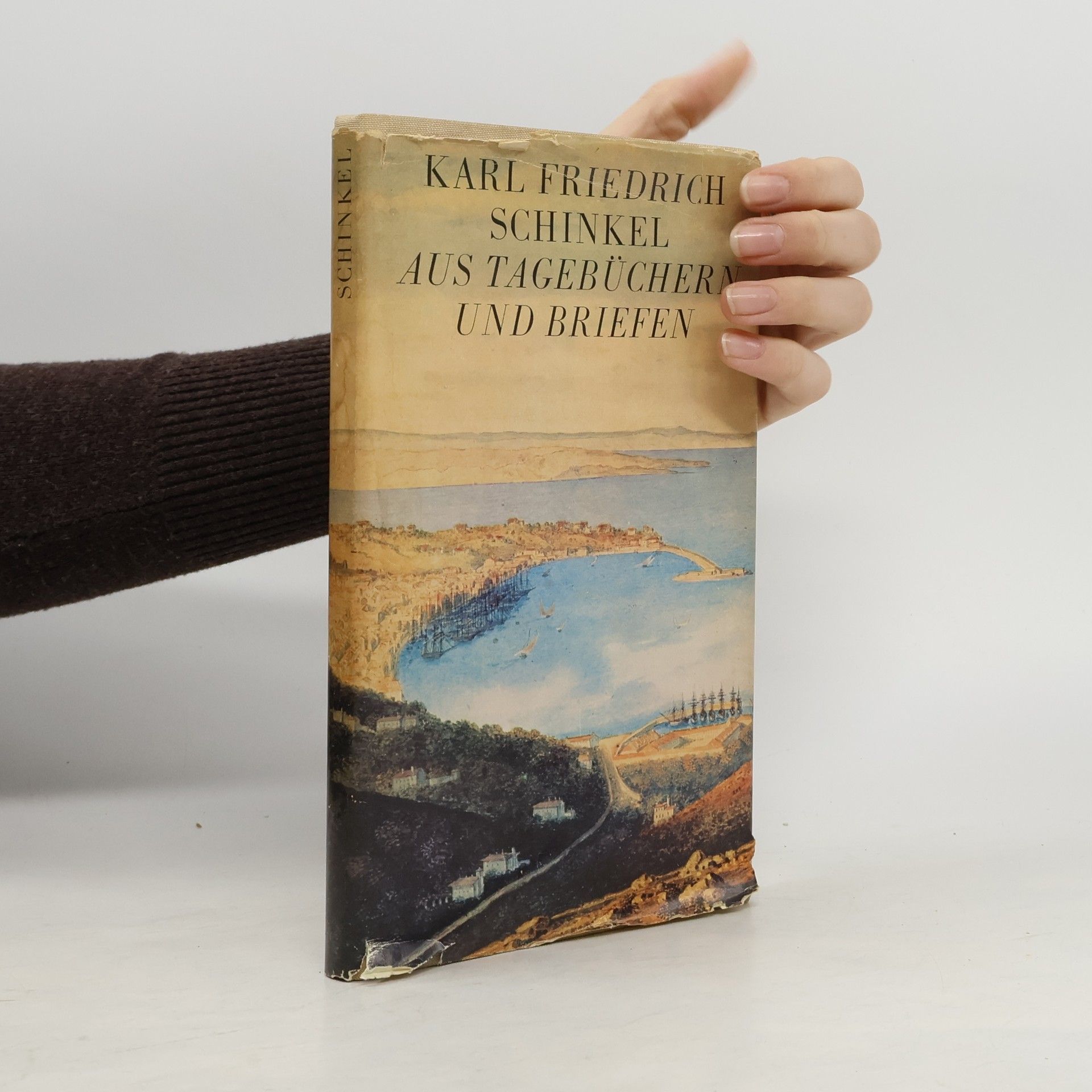 Karl Friedrich Schinkel Aus Tagebüchern und Briefen