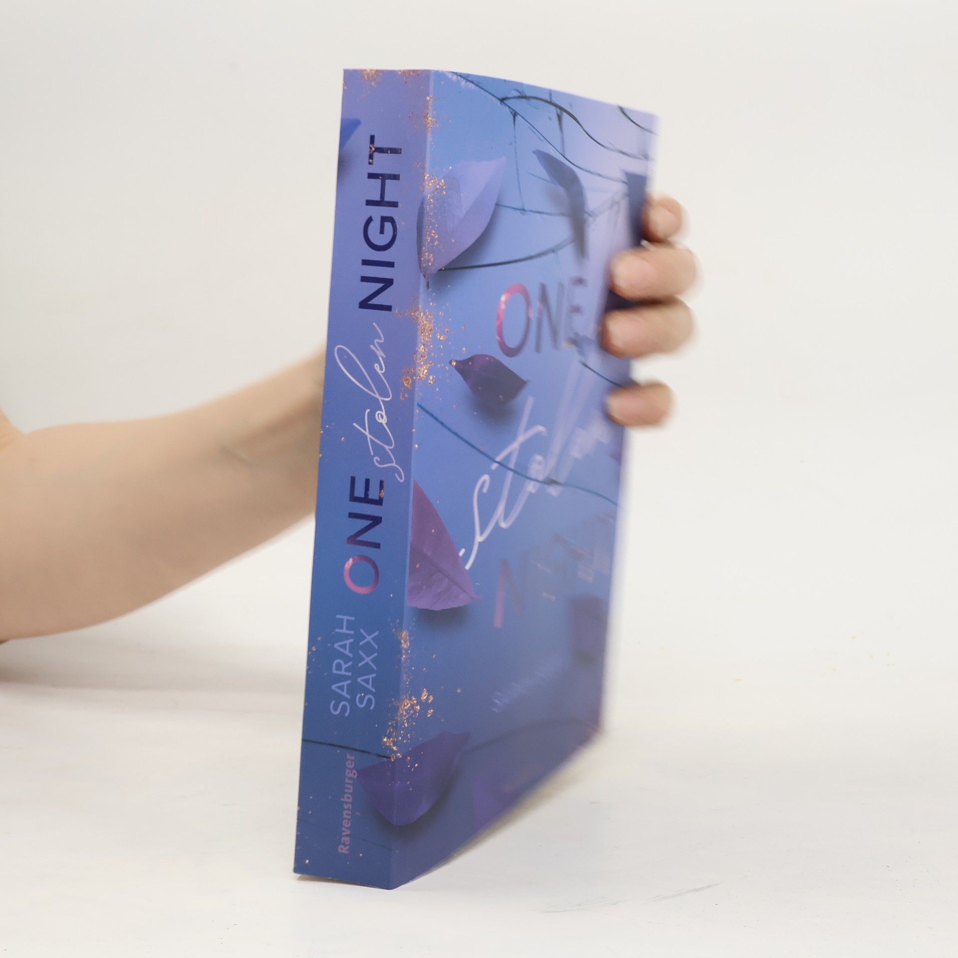 Sarah Saxx One Stolen Night (Knisternde New-Adult-Romance)