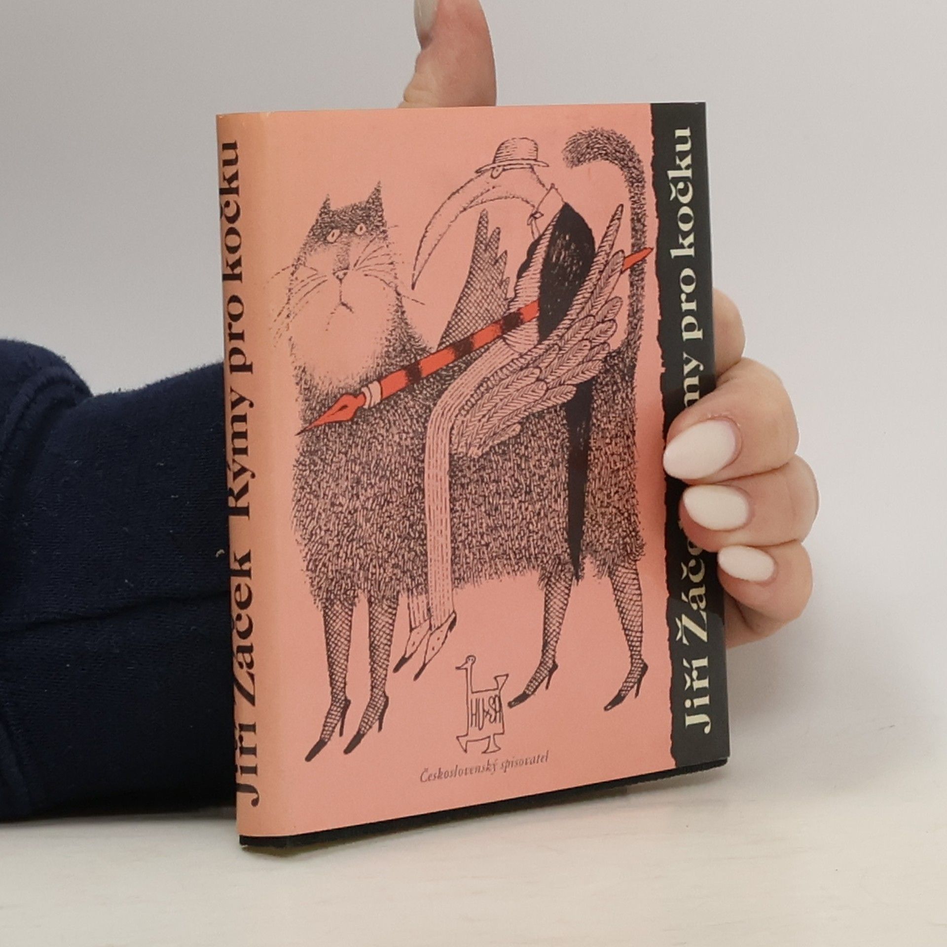 Jiří Žáček Rýmy pro kočku