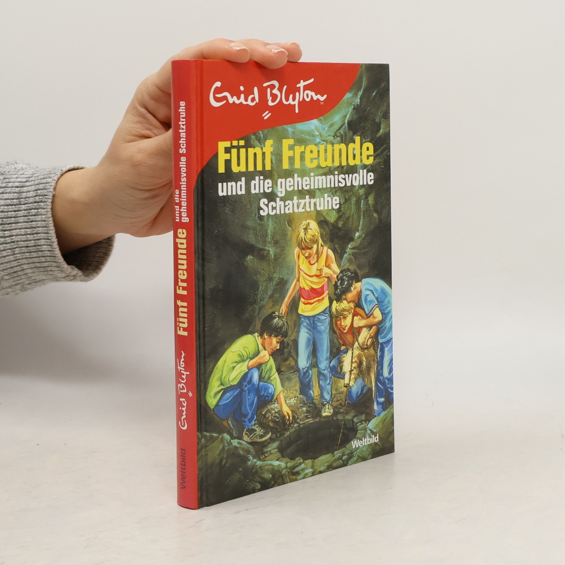 Sarah Bosse Fünf Freunde entlarven den Betrüger