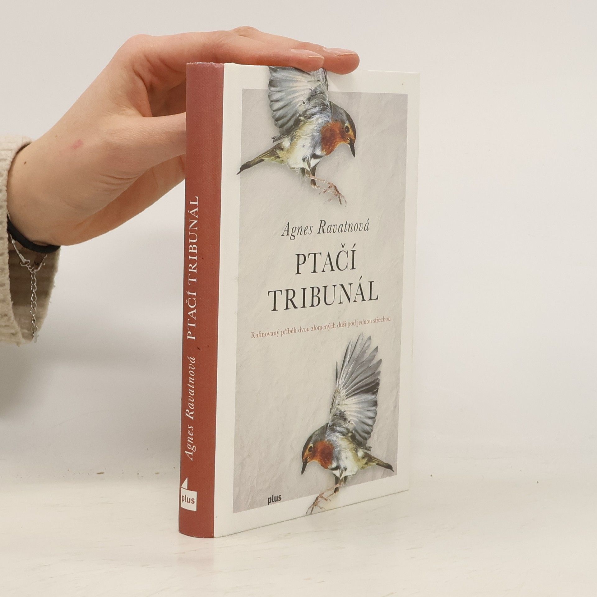 Agnes Ravatn Ptačí tribunál