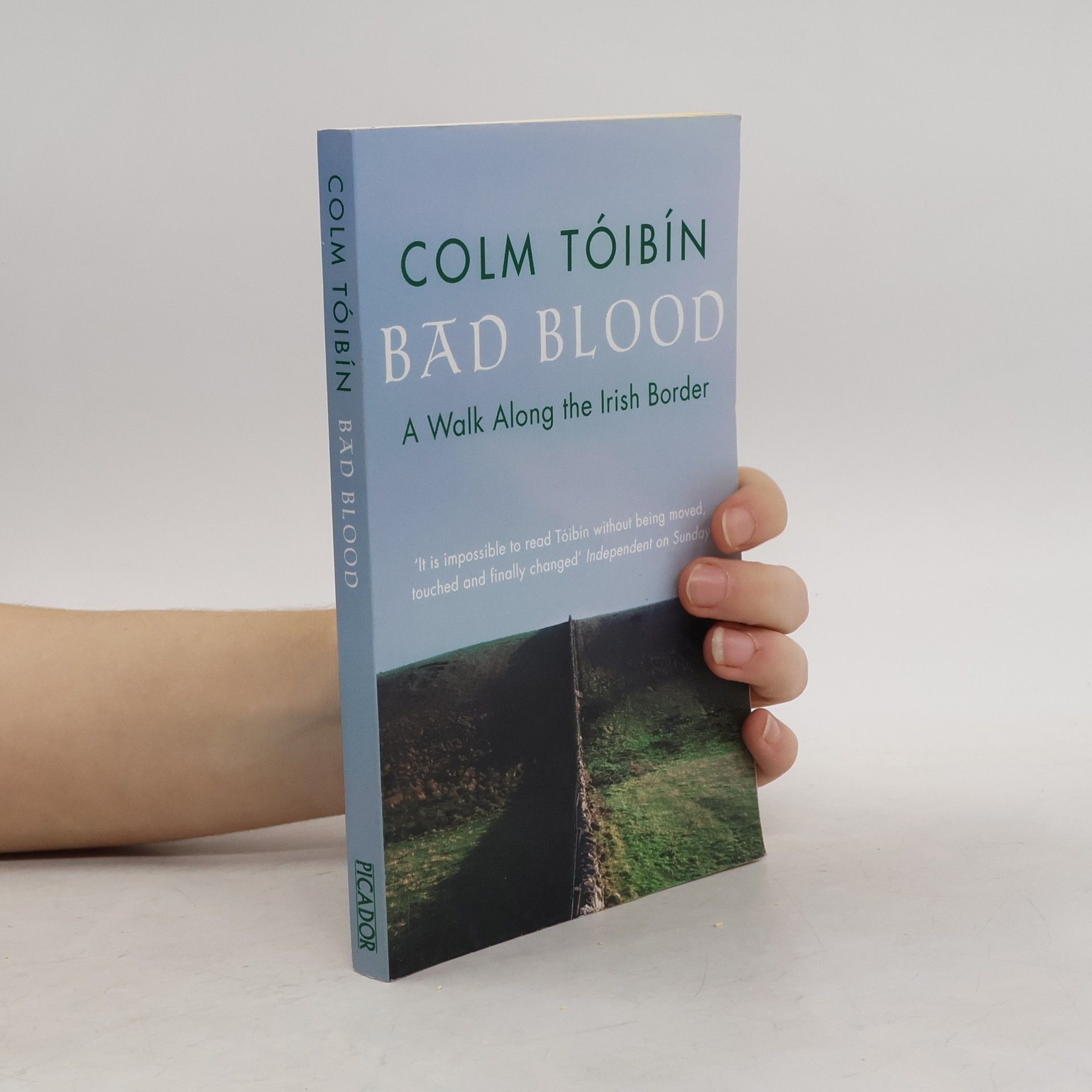 Colm Tóibín Bad Blood
