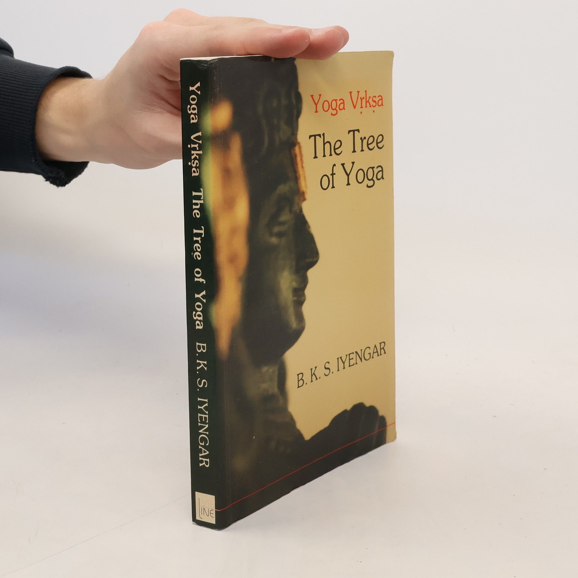B. K. S. Iyengar Yoga Vrska