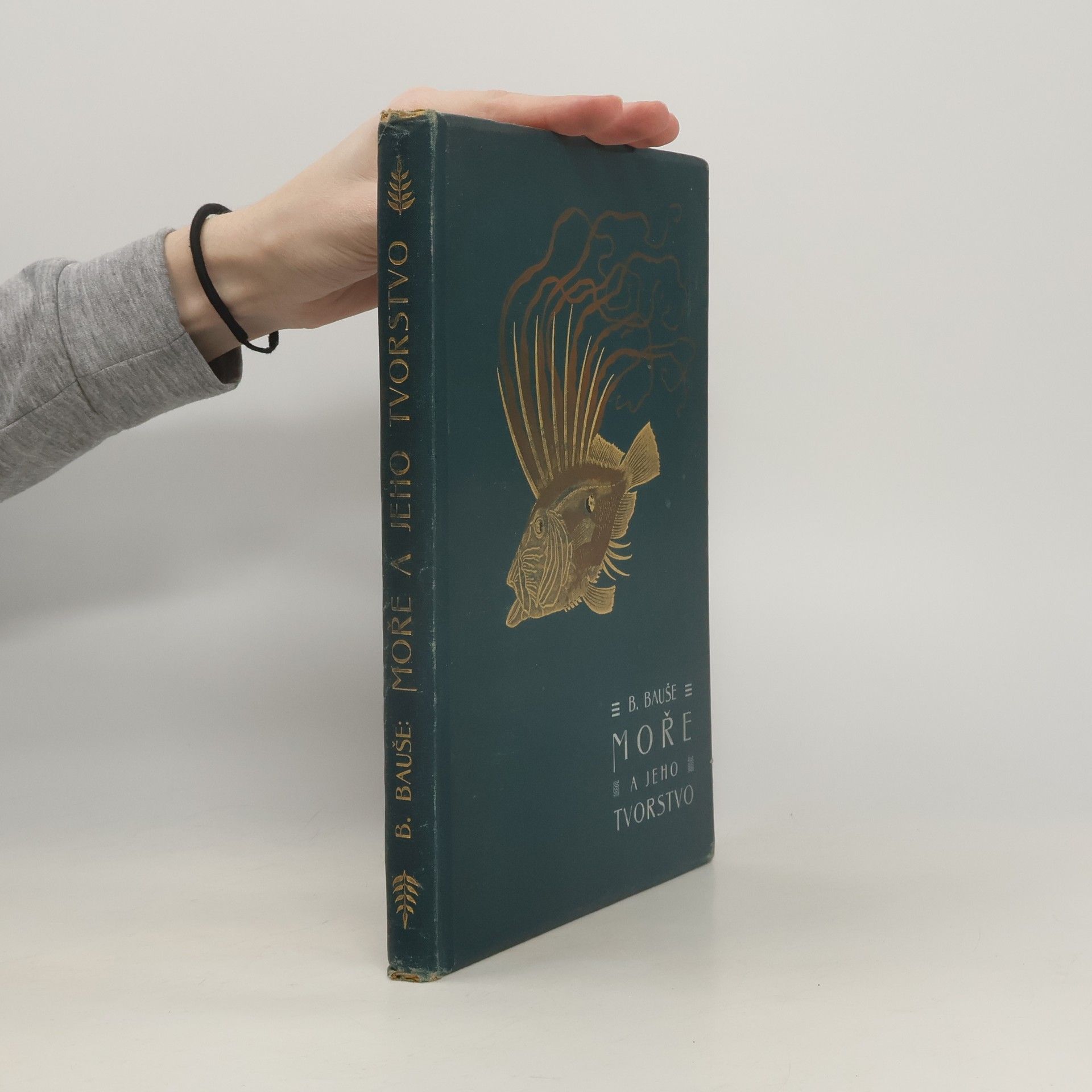 B. Bauše Moře a jeho tvorstvo