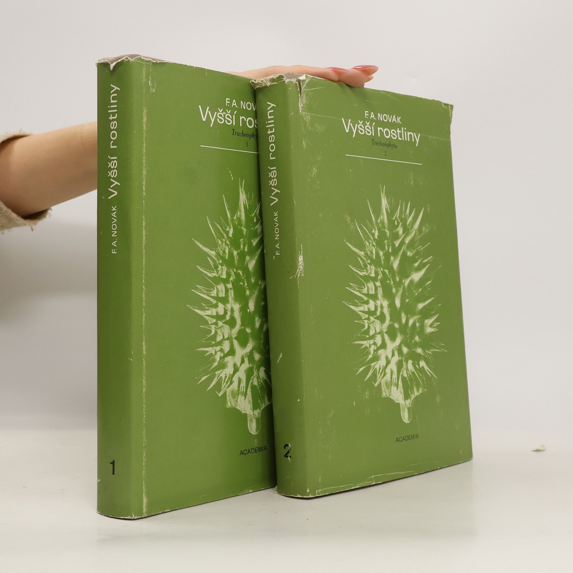 Prof. Dr. Frant. A. Novák Vyšší rostliny 1, 2. Tracheophyta