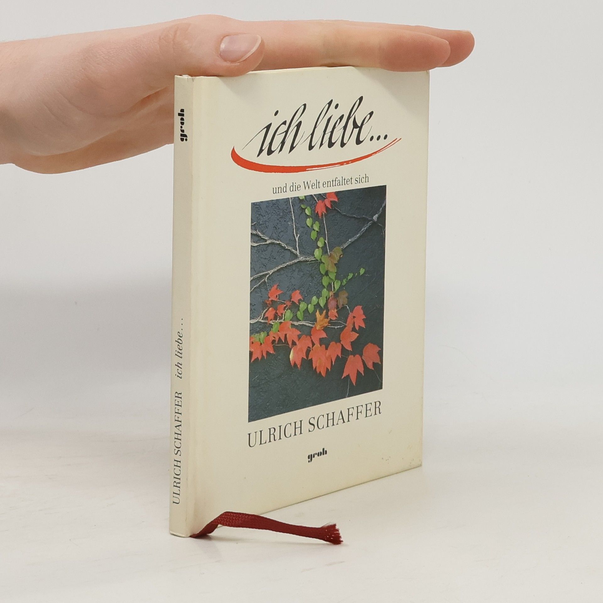 Ulrich Schaffer Ich liebe ... und die Welt entfaltet sich