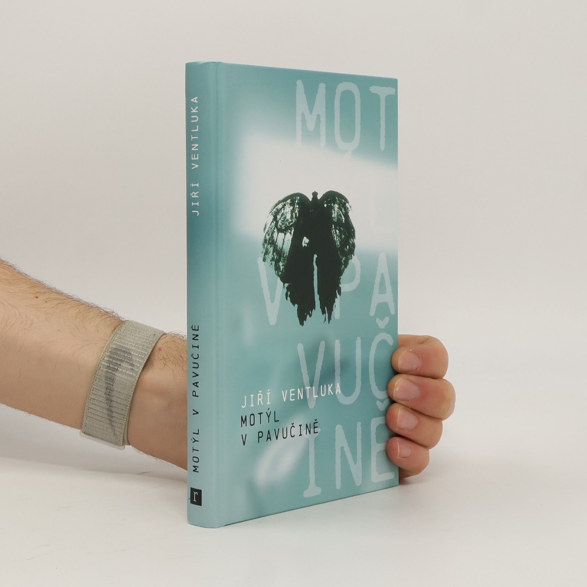Jiří Ventluka Motýl v pavučině