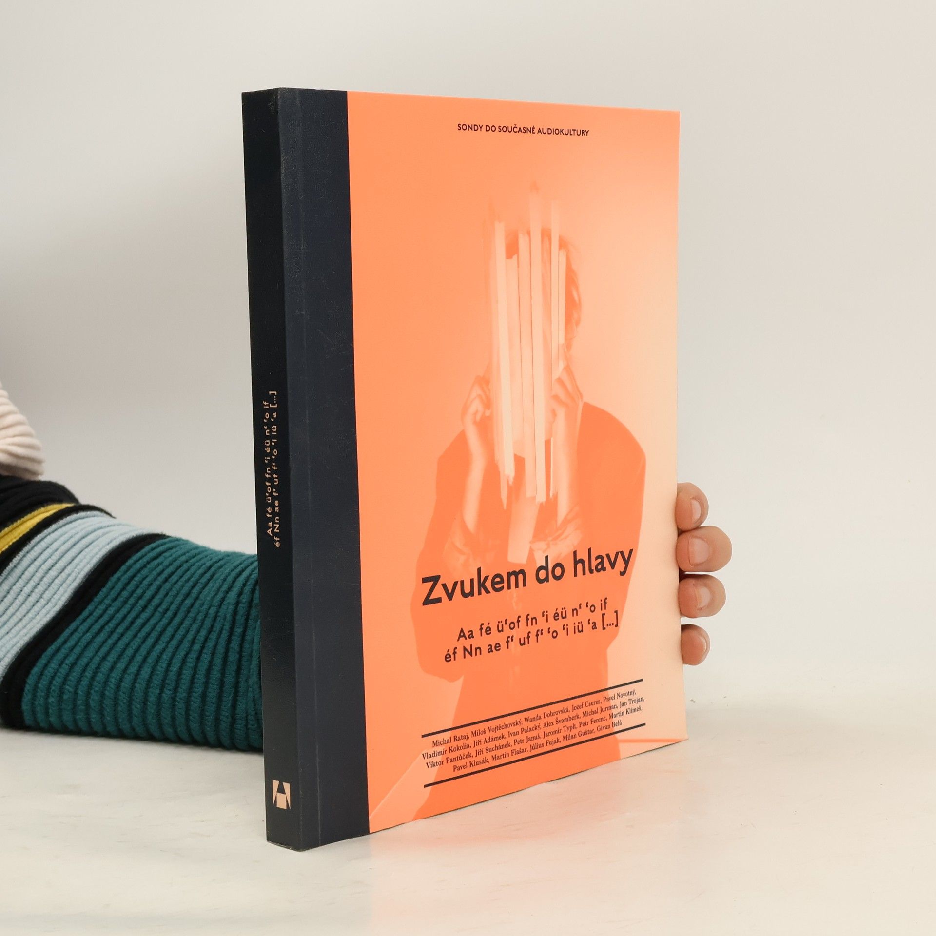 Autorenkollektiv Zvukem do hlavy : sondy do současné audiokultury