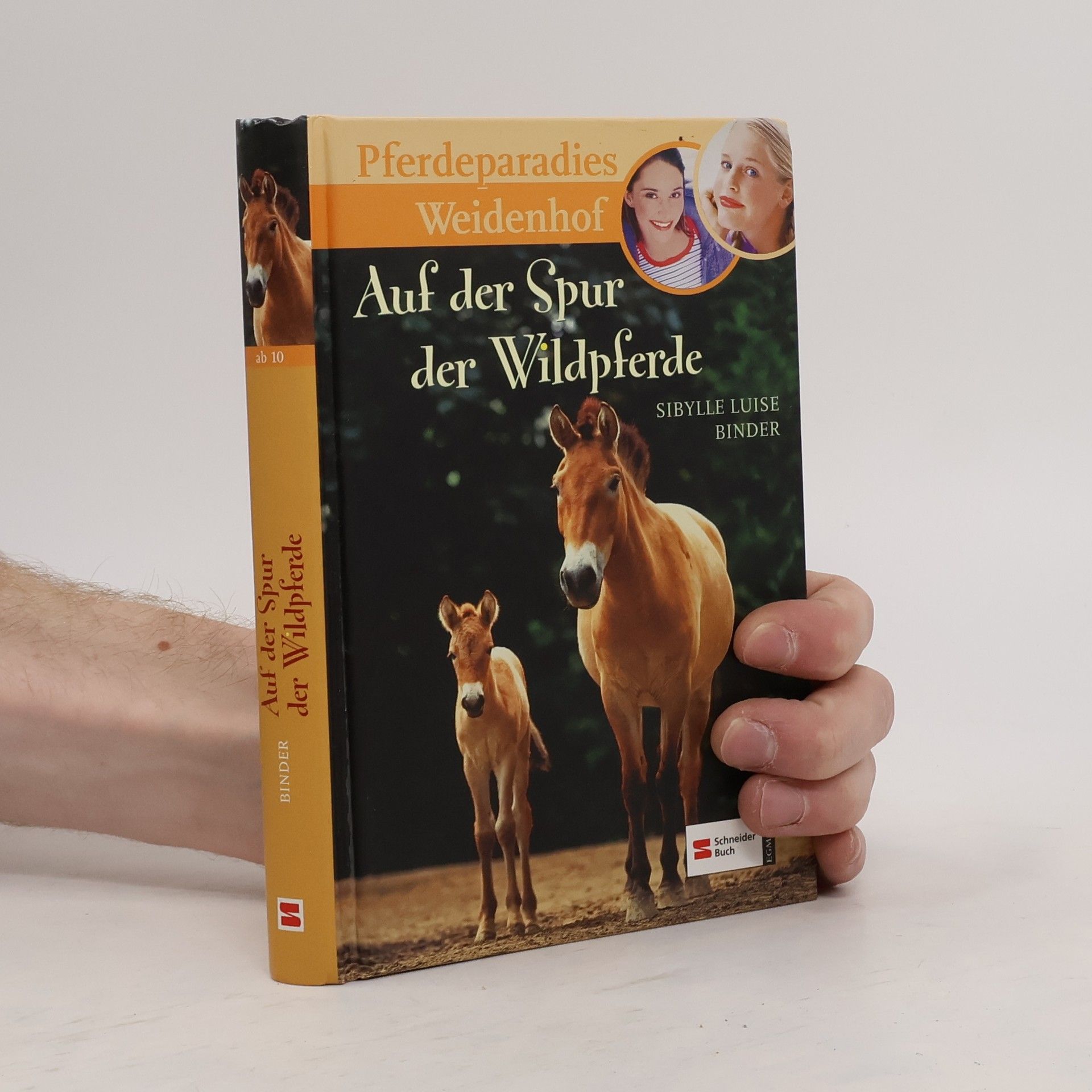 Pferdeparadies Weidenhof, Band 11. Auf der Spur der Wildpferde