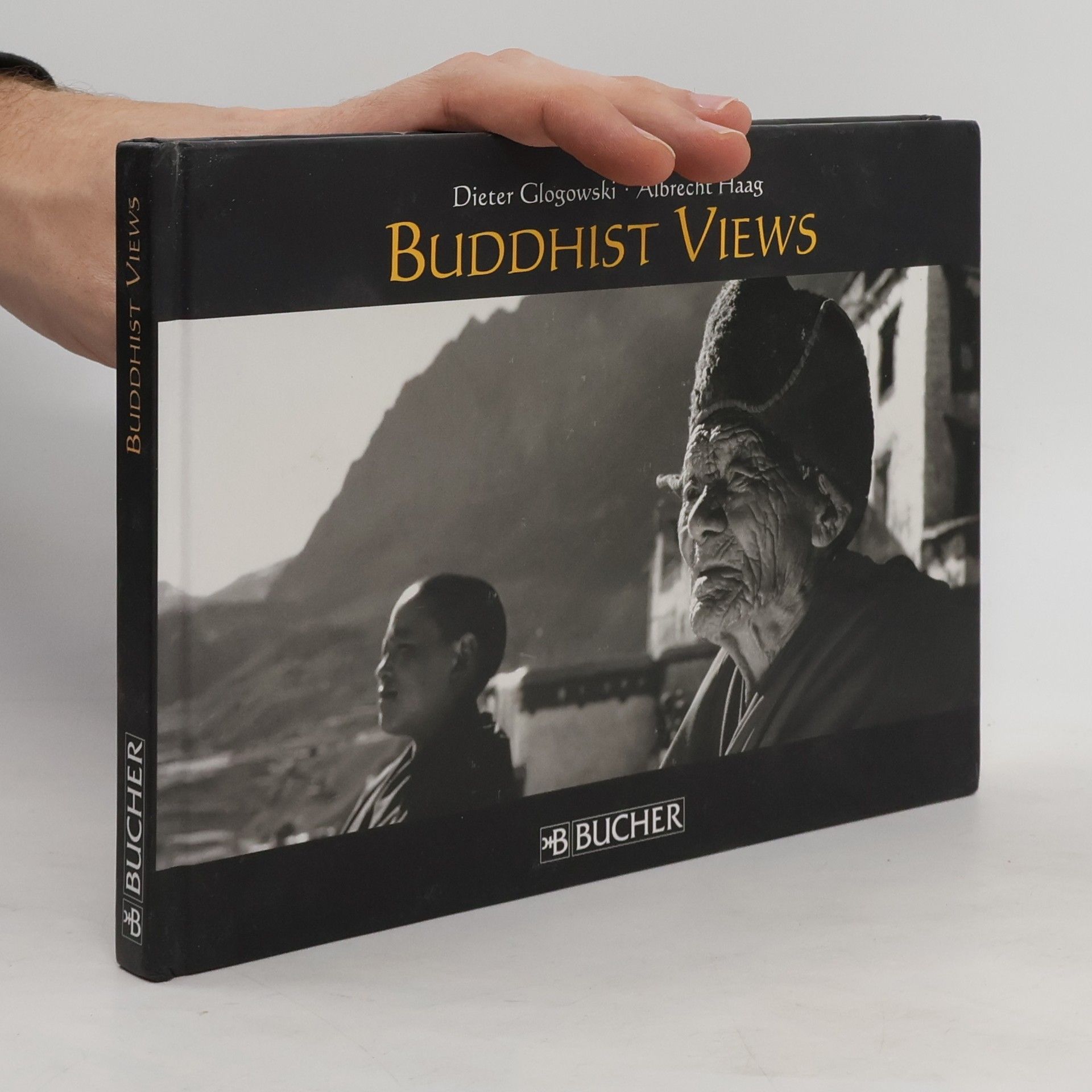 Buddhist views