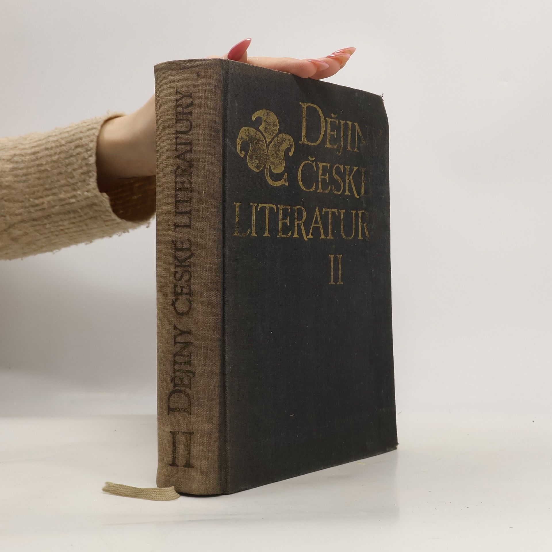 Kolektiv autorů Dějiny české literatury II.
