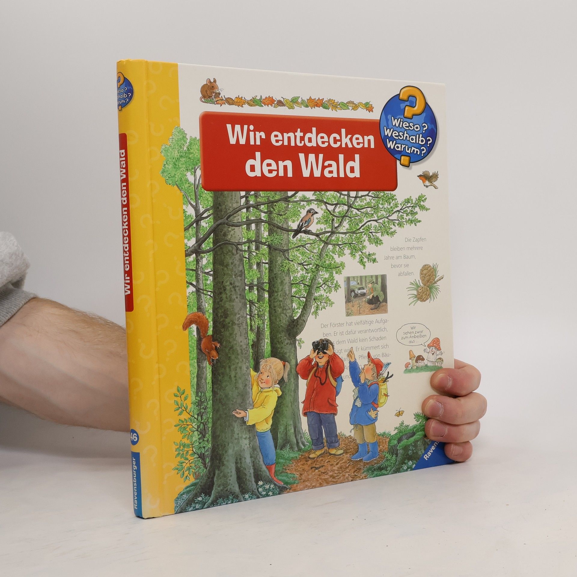 Angela Weinhold Wir entdecken den Wald
