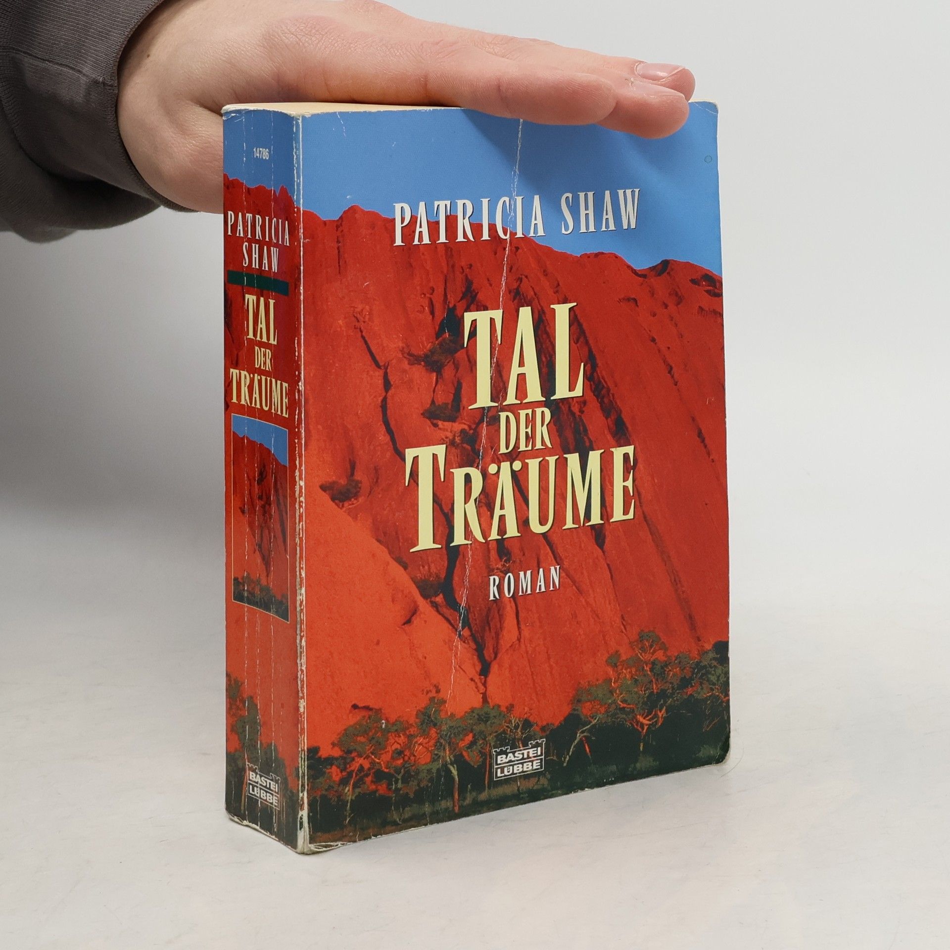 Patricia Shaw Tal der Träume