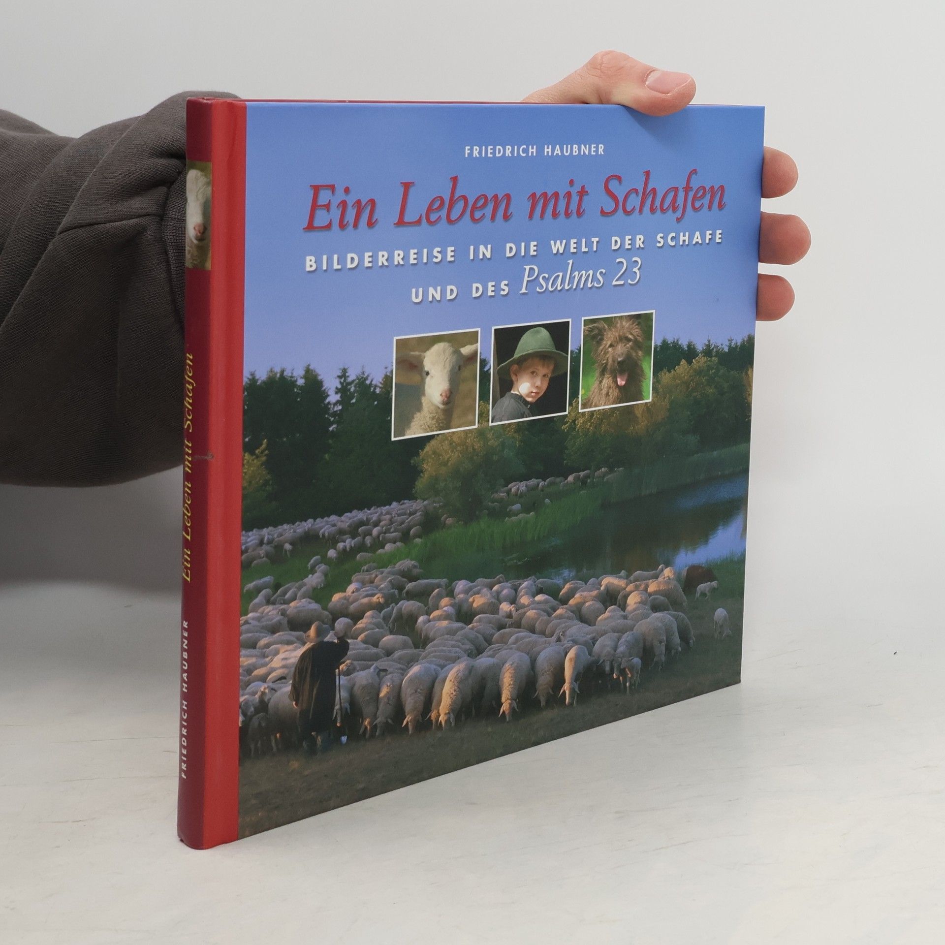 Bernhard Matzel Einfach himmlisch