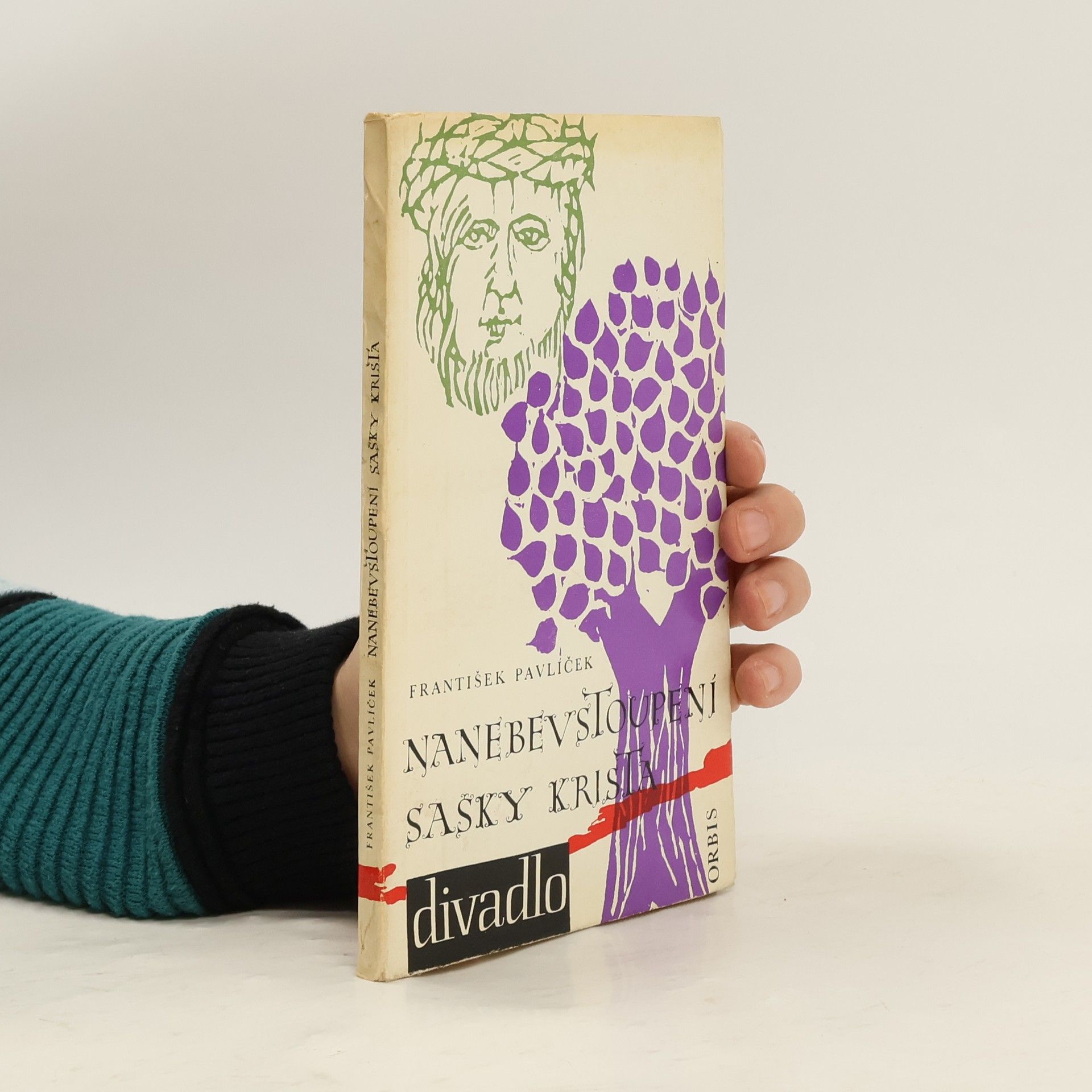 František Pavlíček Nanebevstoupení Sašky Krista