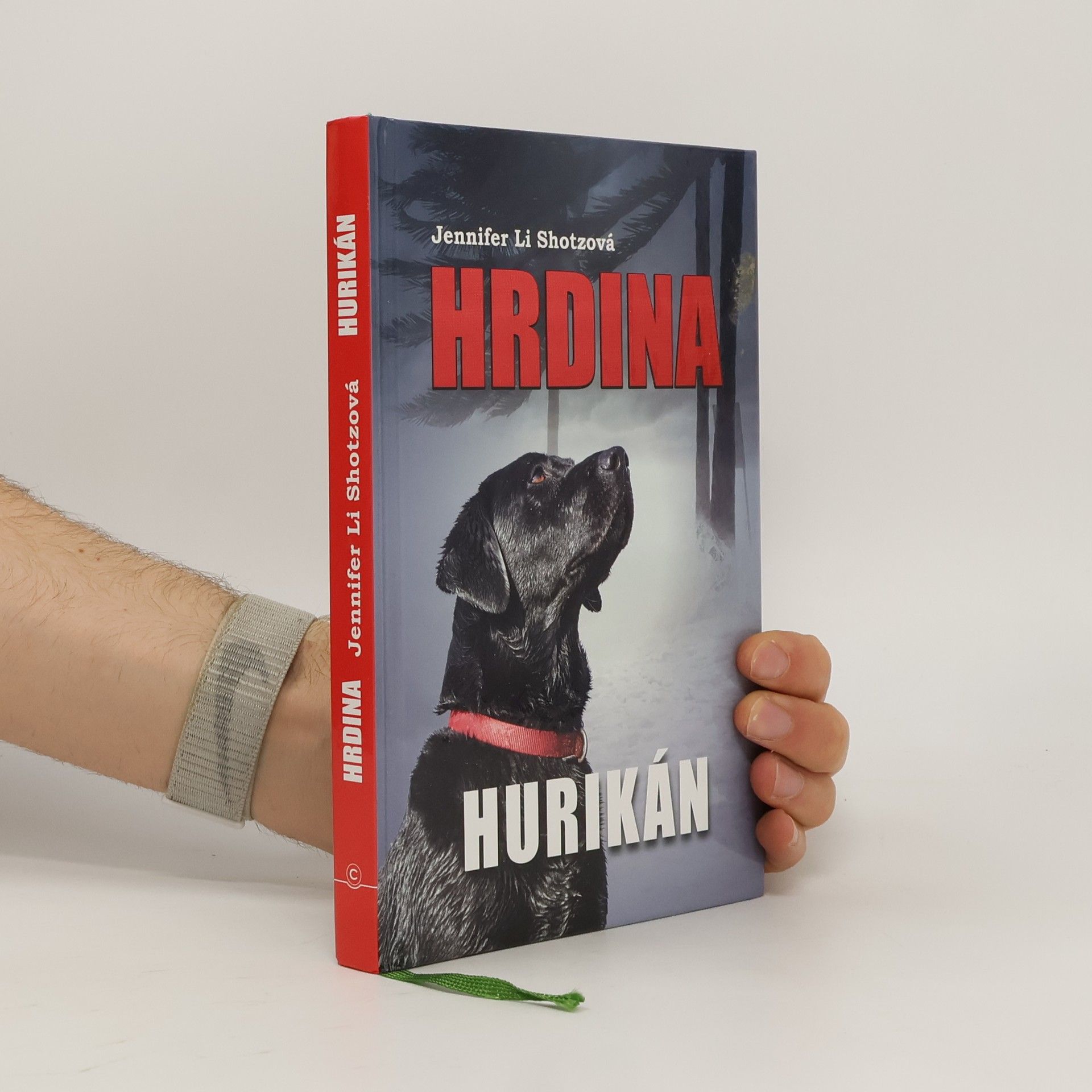 Jennifer Li Shotz Hurikán