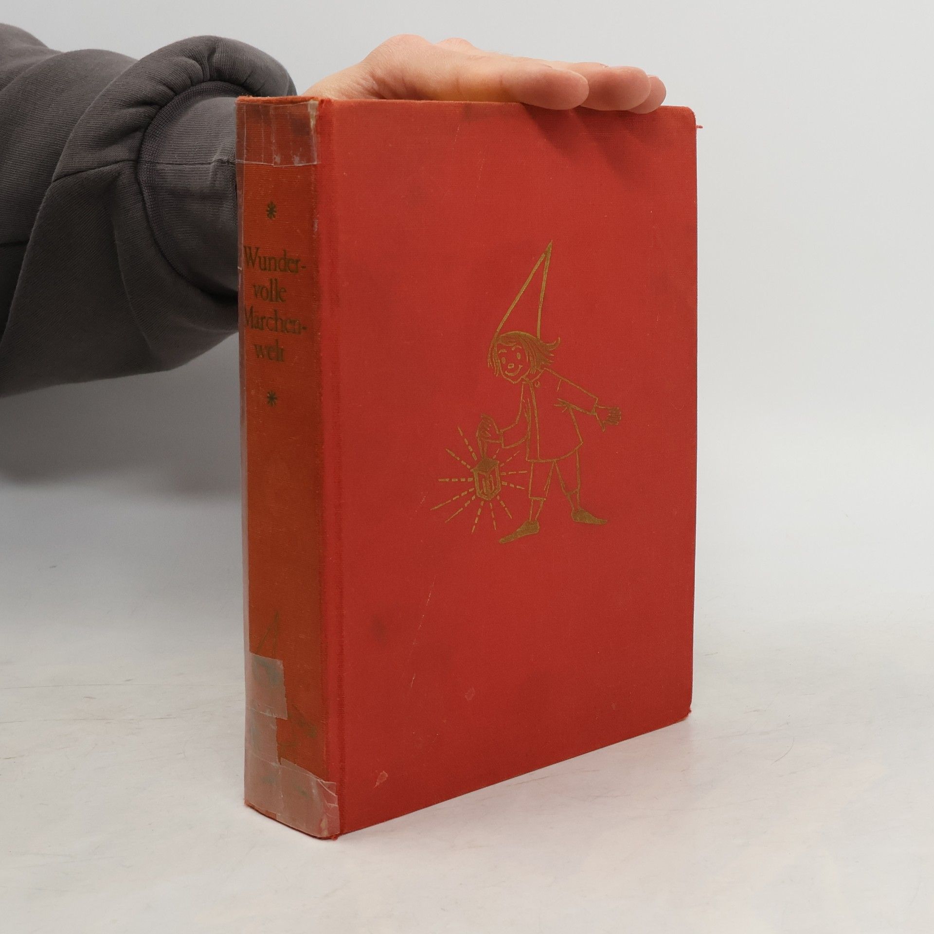 Collectif d'auteurs Wundervolle Märchenwelt