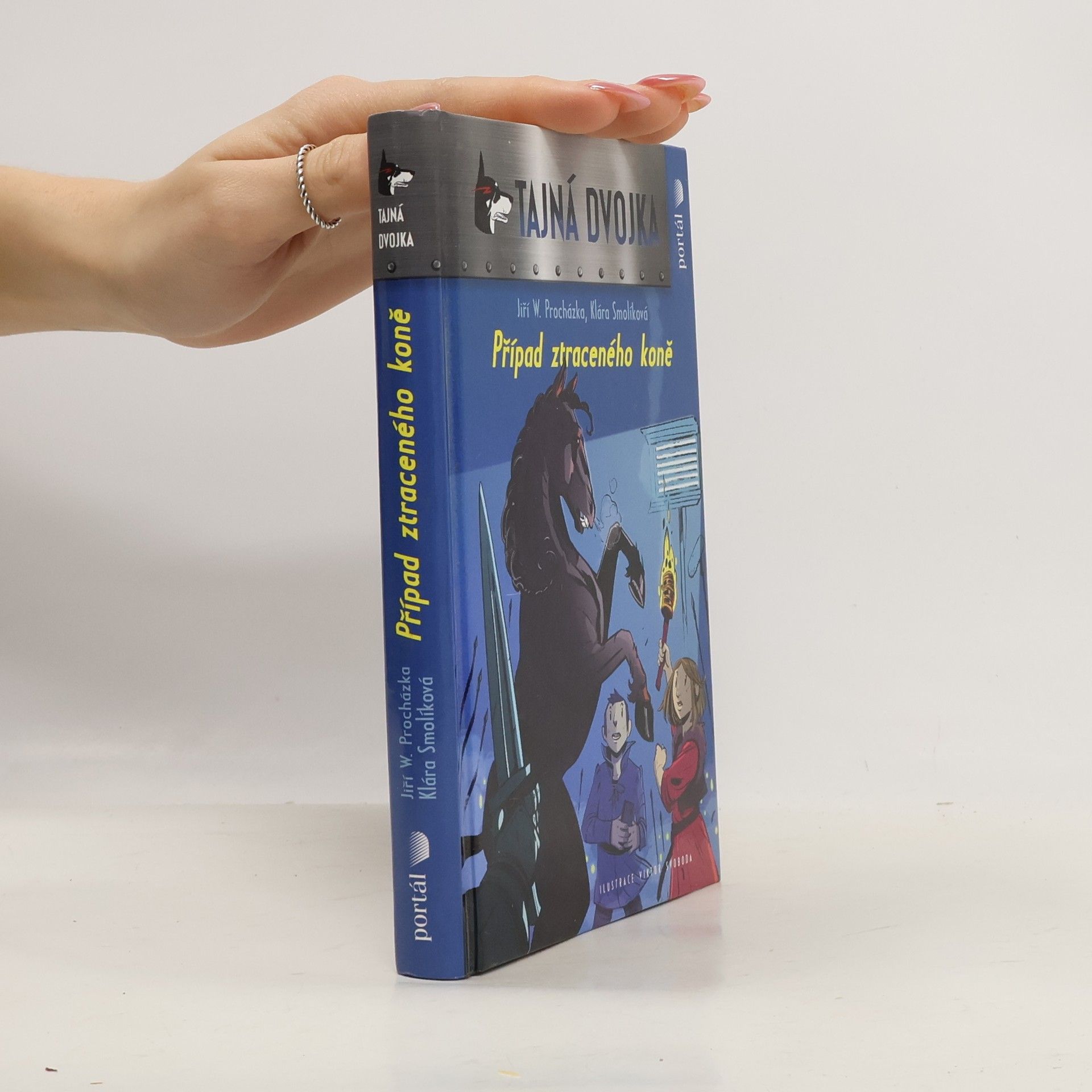 Případ ztraceného koně