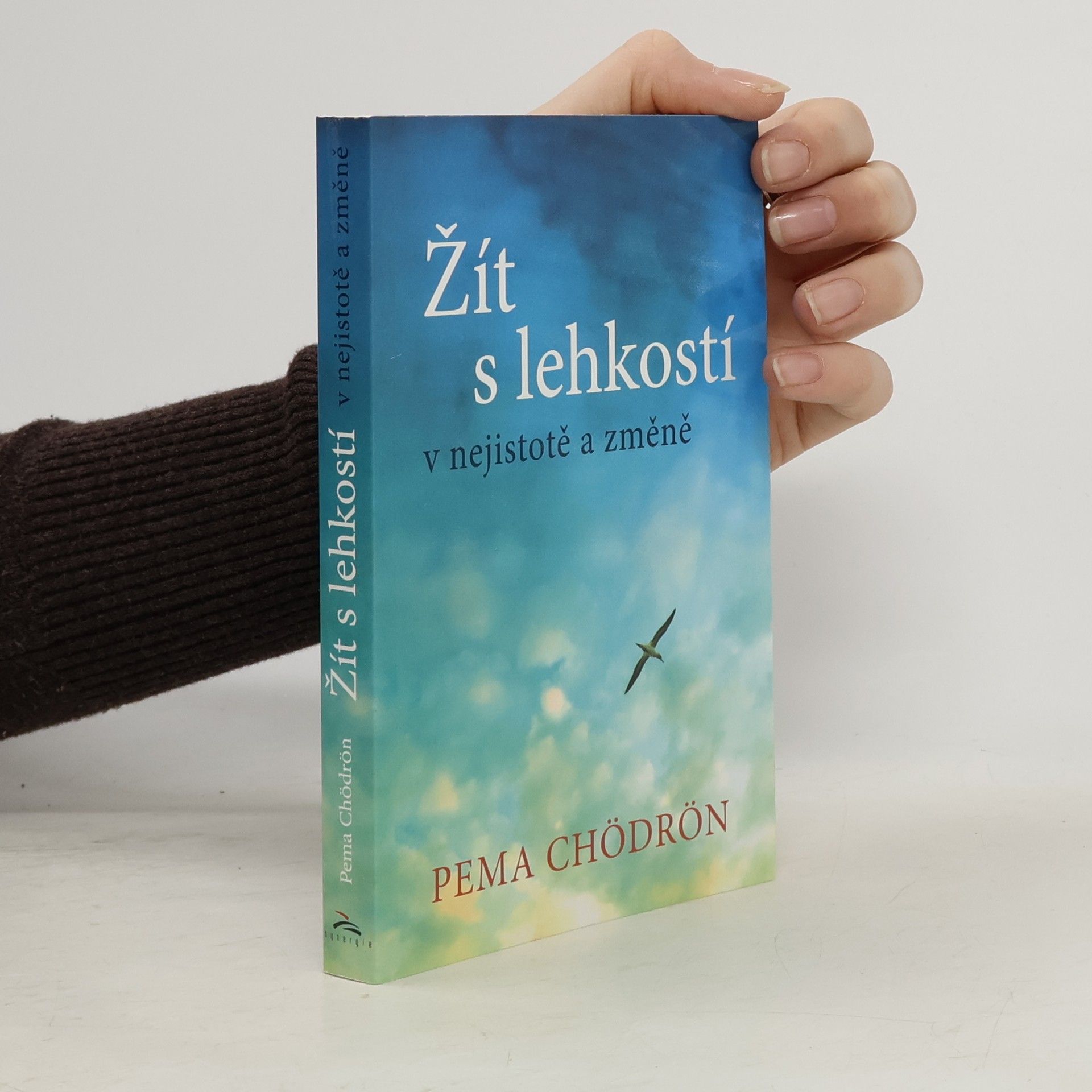 Pema Chödrön Žít s lehkostí