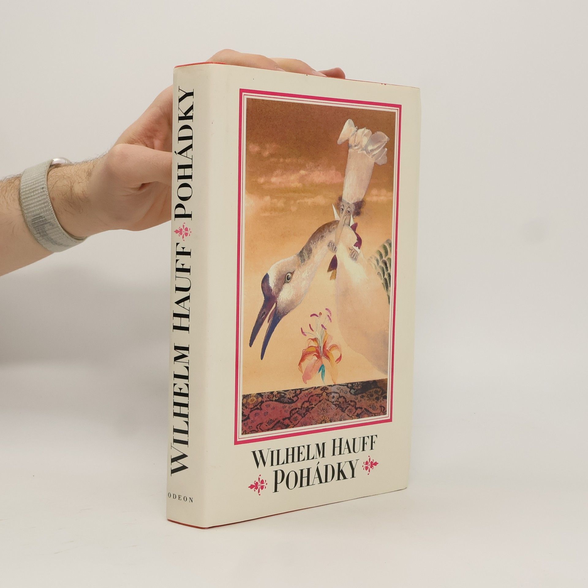 Wilhelm Hauff Pohádky