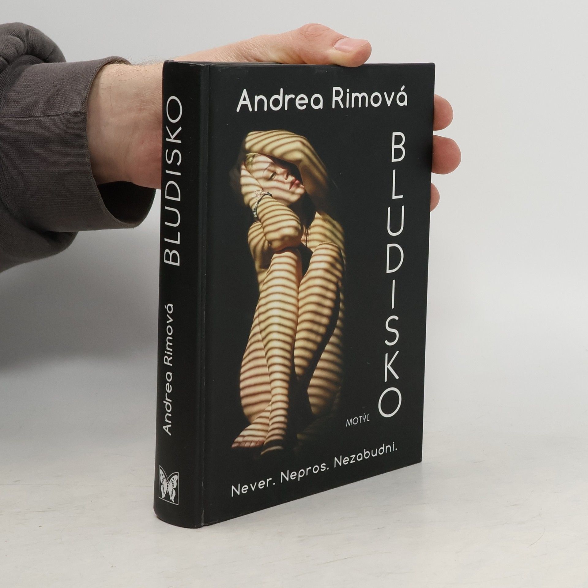 Andrea Rimová Bludisko