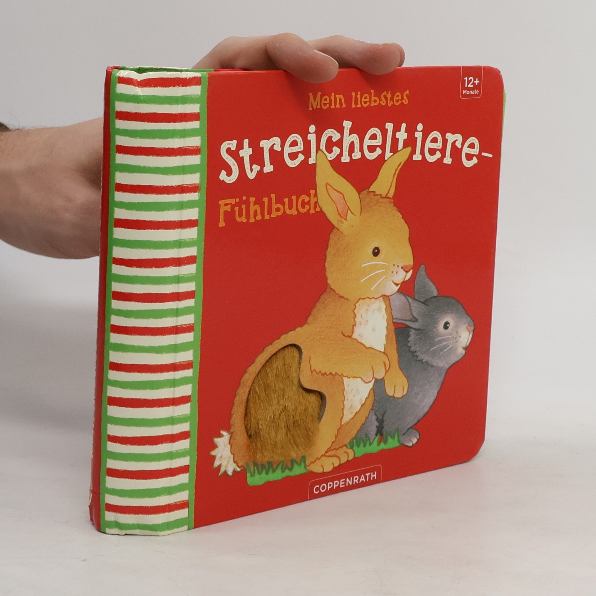 Mein liebstes Streicheltiere-Fühlbuch