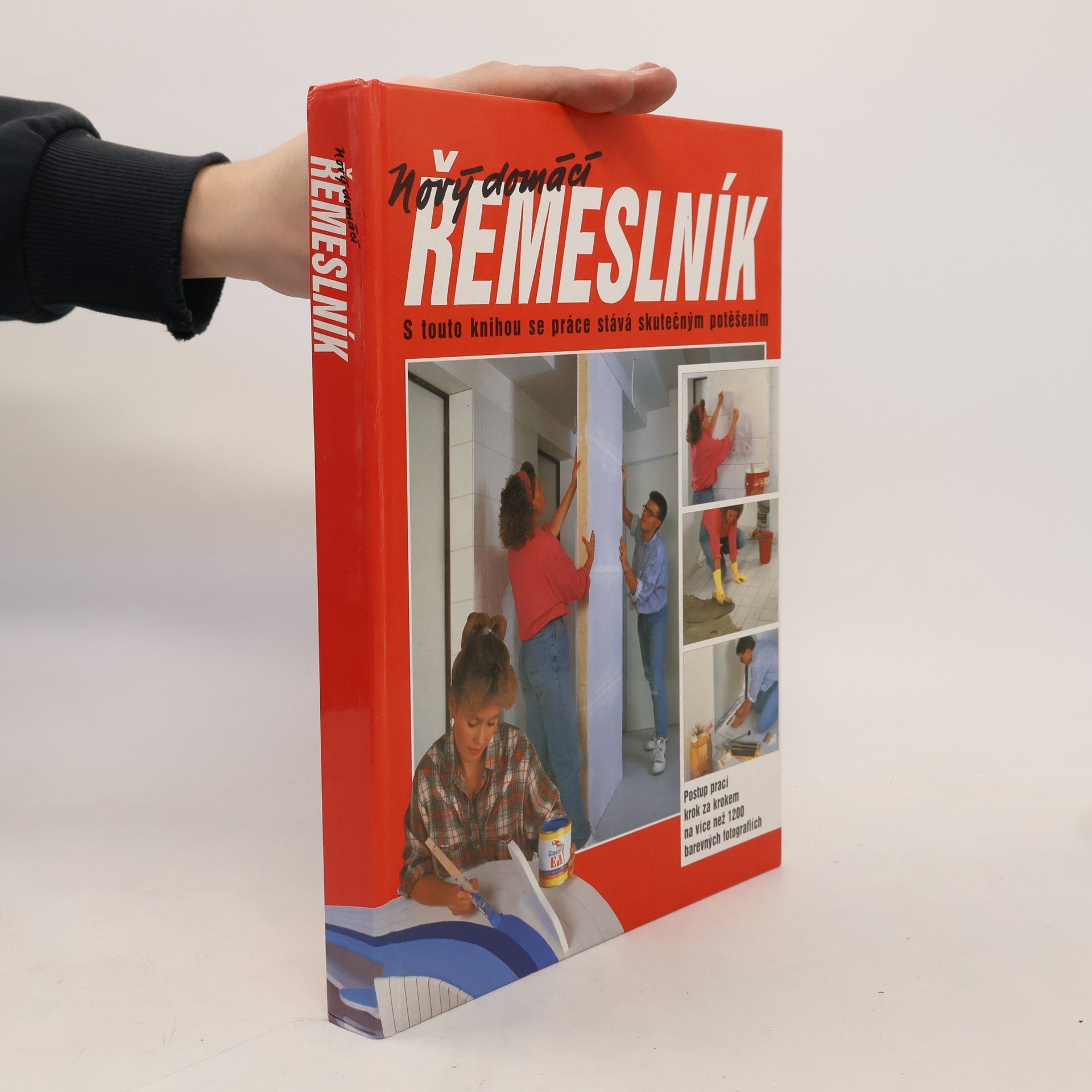 Dieter Rex Nový domácí řemeslník