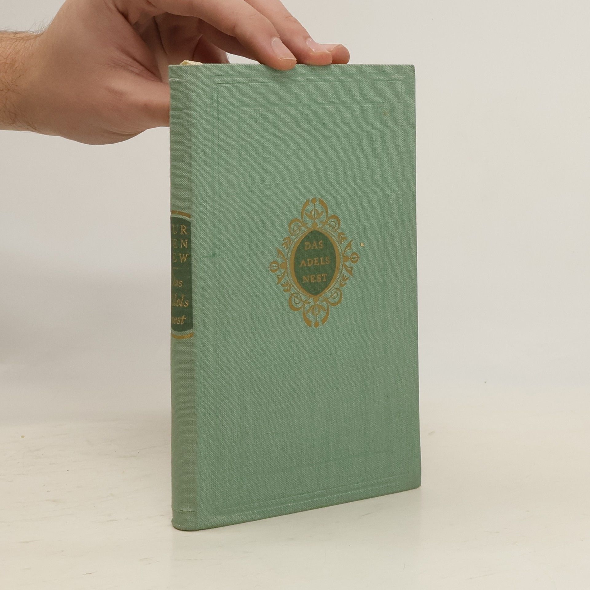 Iwan Turgenjew Ein Adelsnest