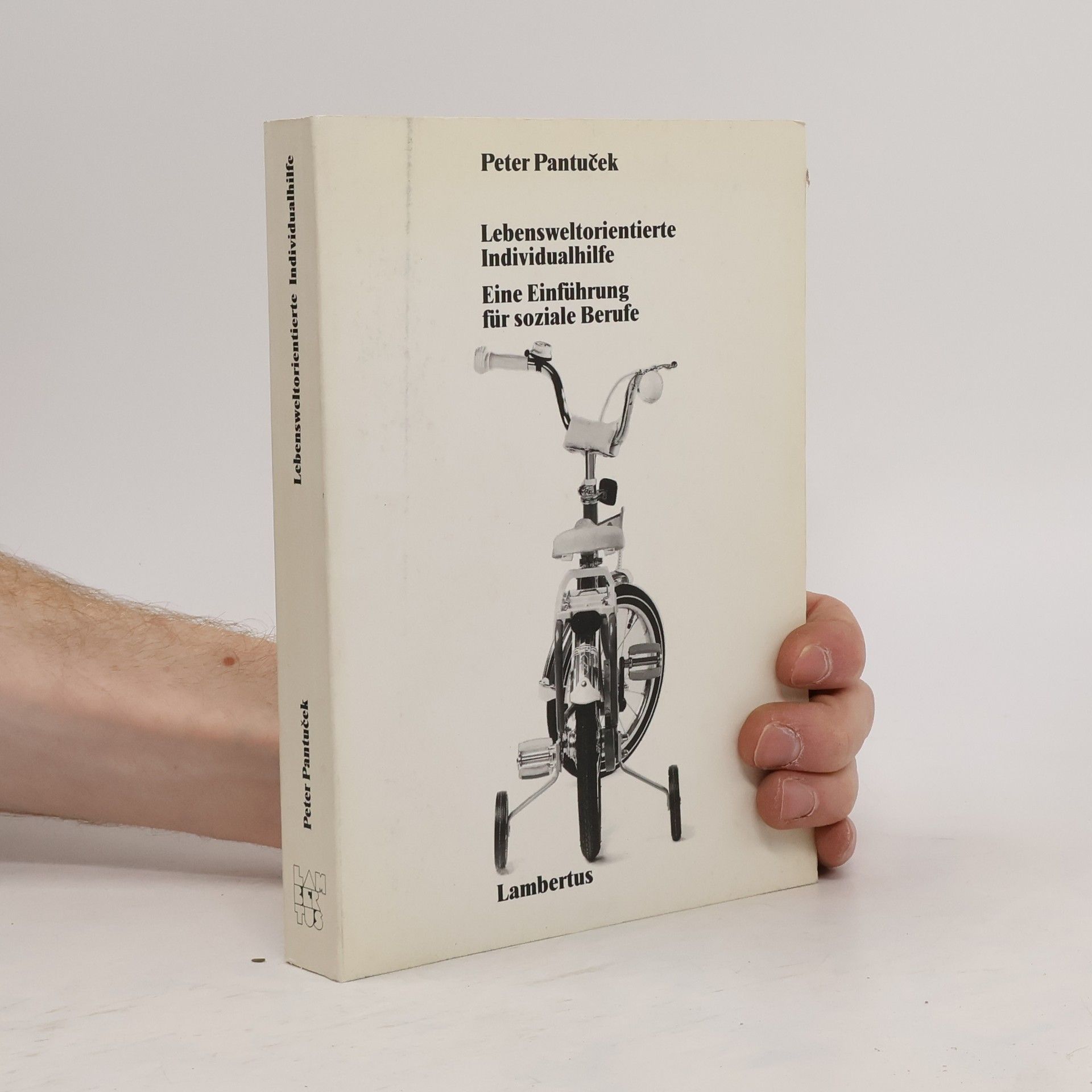 Lebensweltorientierte Individualhilfe