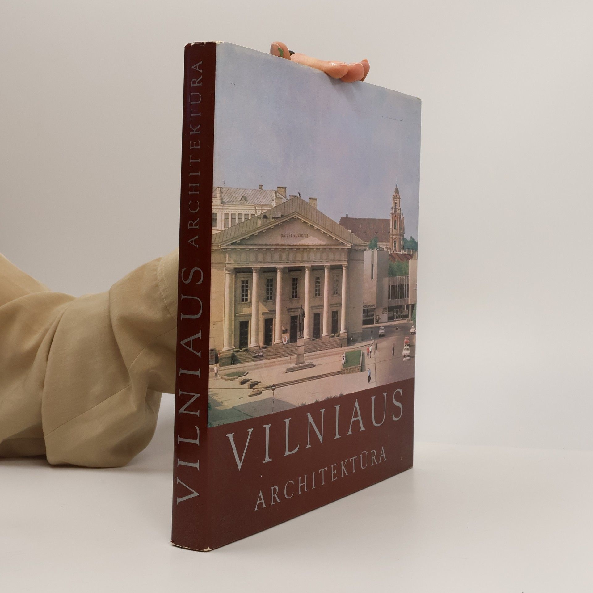 Autorenkollektiv Vilniaus architektura