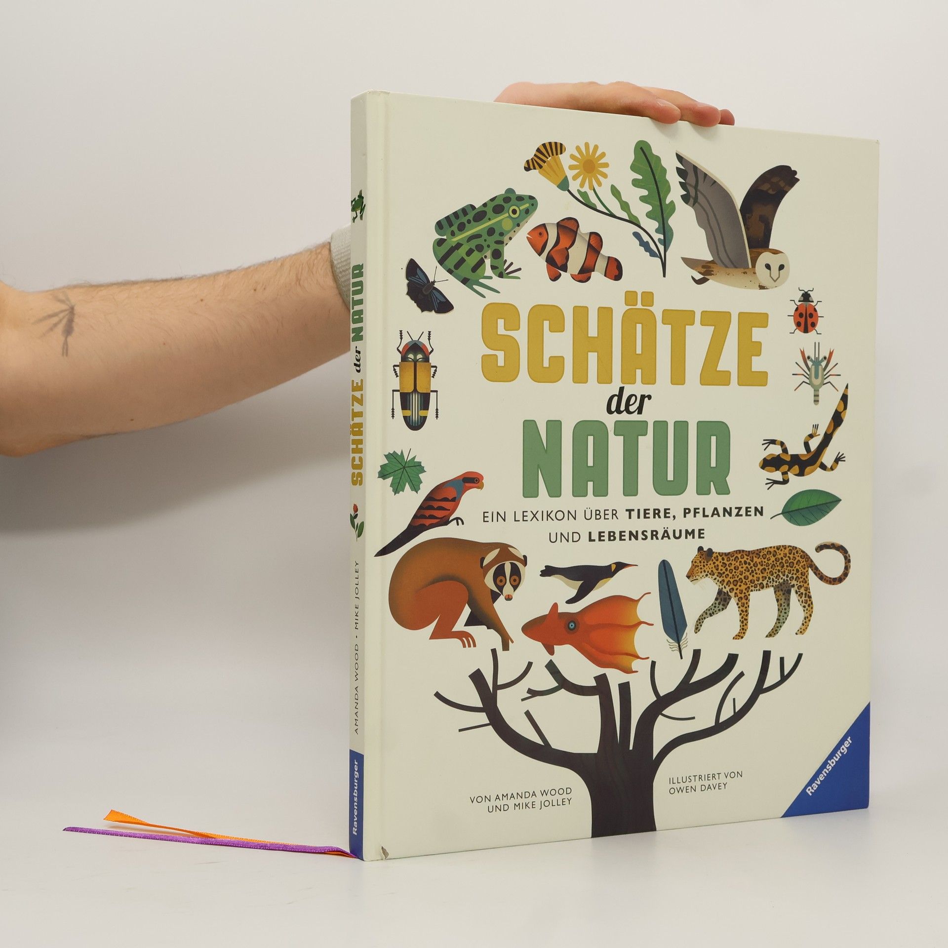 Amanda J. Wood Schätze der Natur
