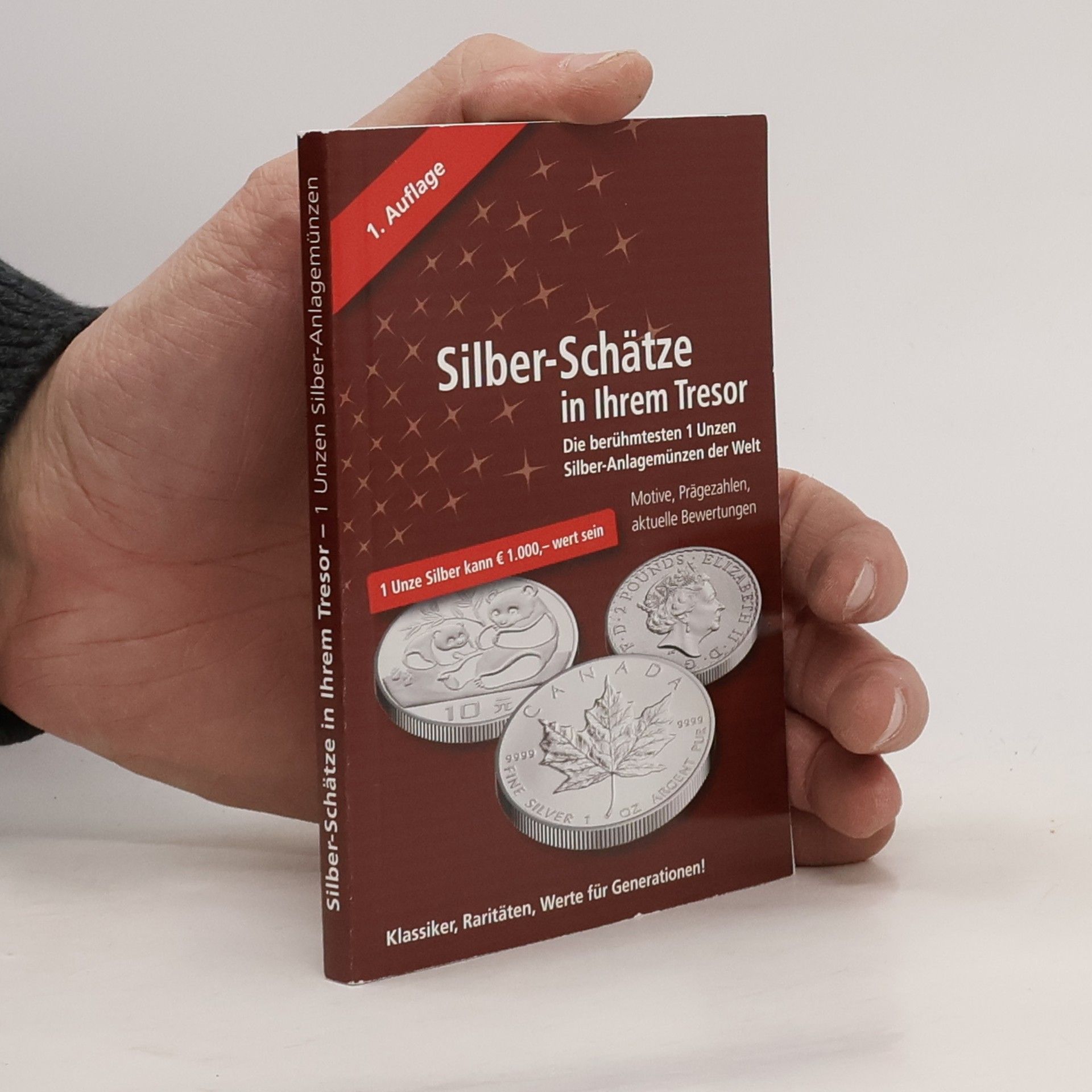 Auteurscollectief Silber - Schätze in Ihrem Tresor