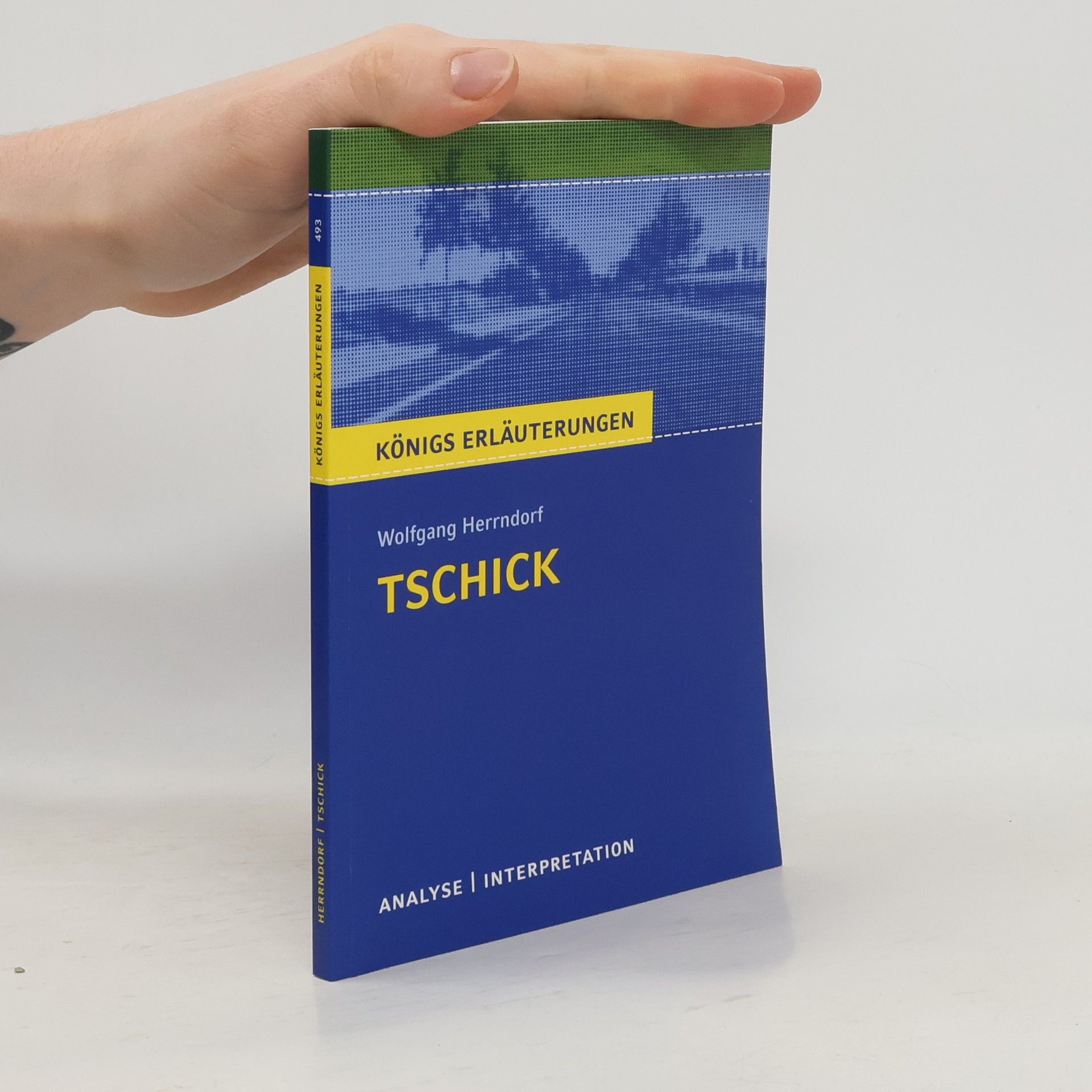 Thomas Möbius Tschick von Wolfgang Herrndorf