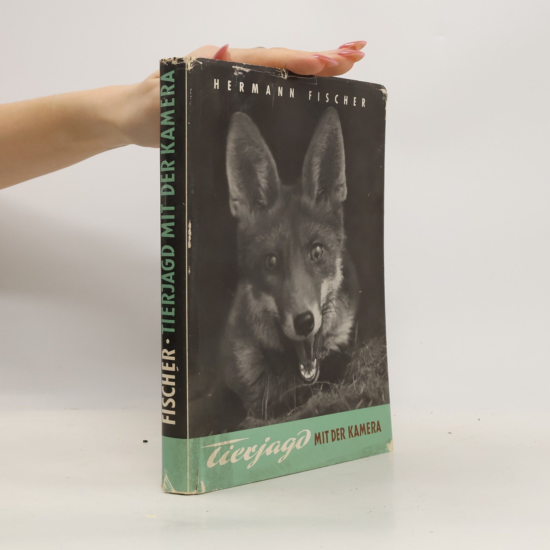 Tierjagd mit der Kamera