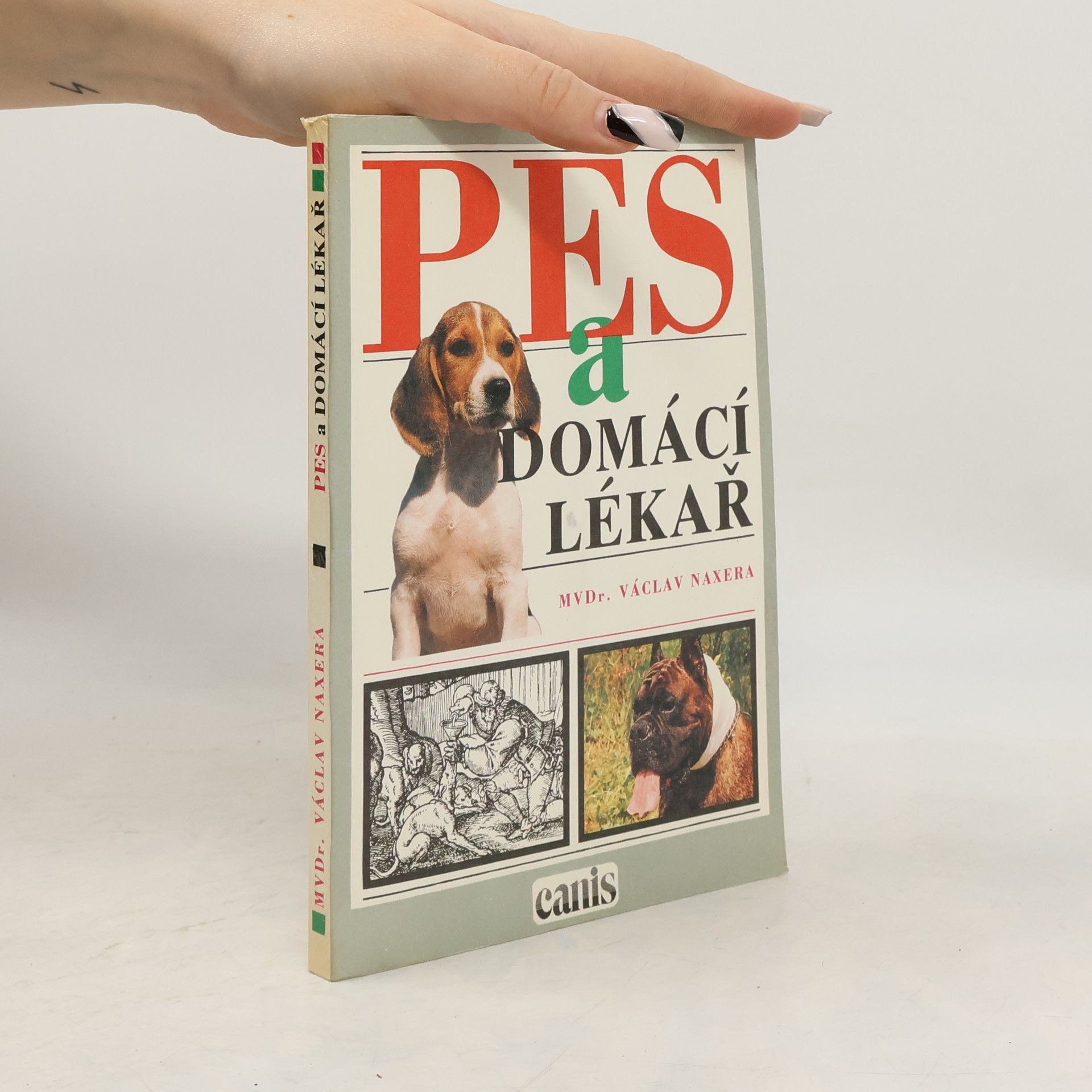 Pes a domácí lékař