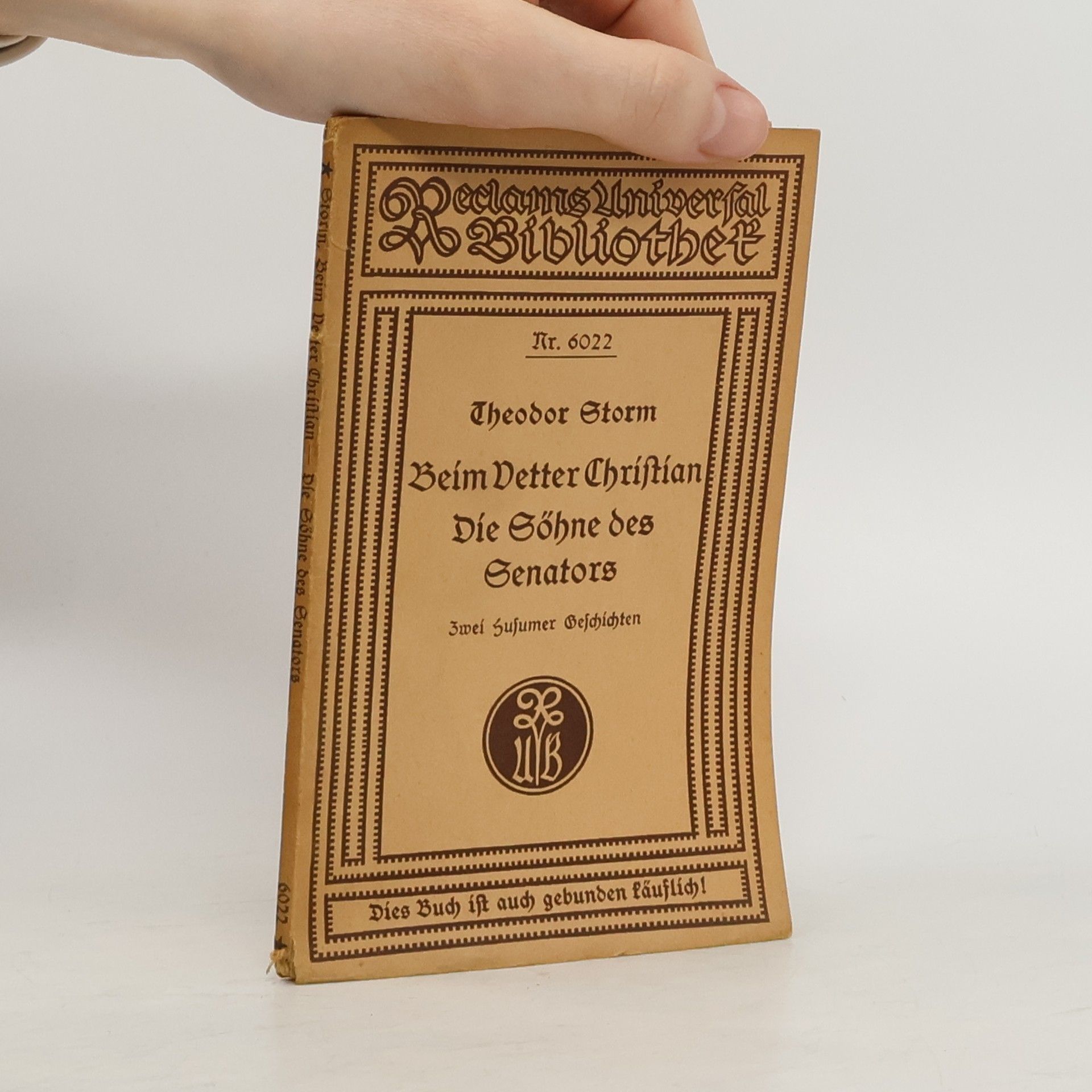 Theodor Storm Beim Vetter Christian. Die Söhne des Senators