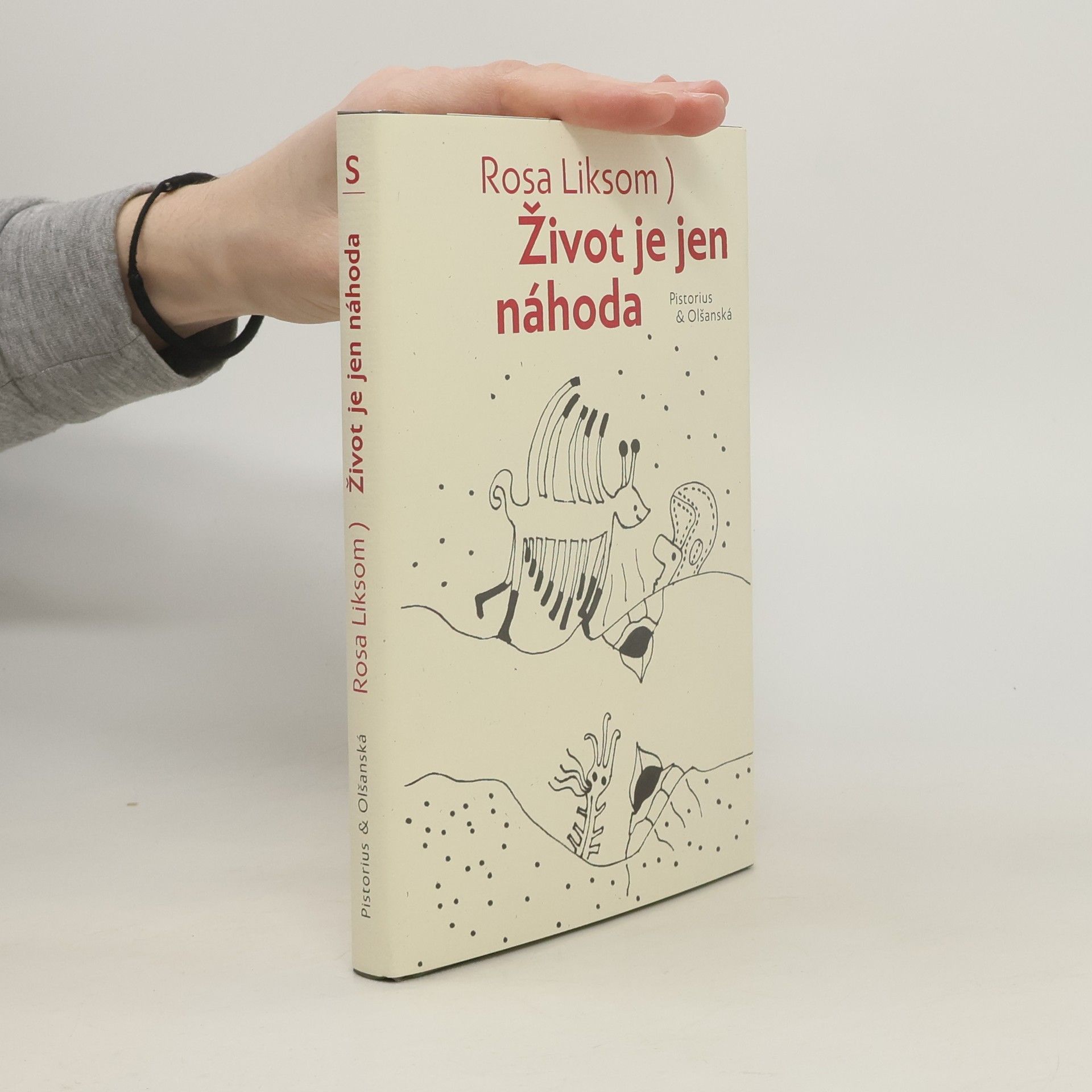 Rosa Liksom Život je jen náhoda