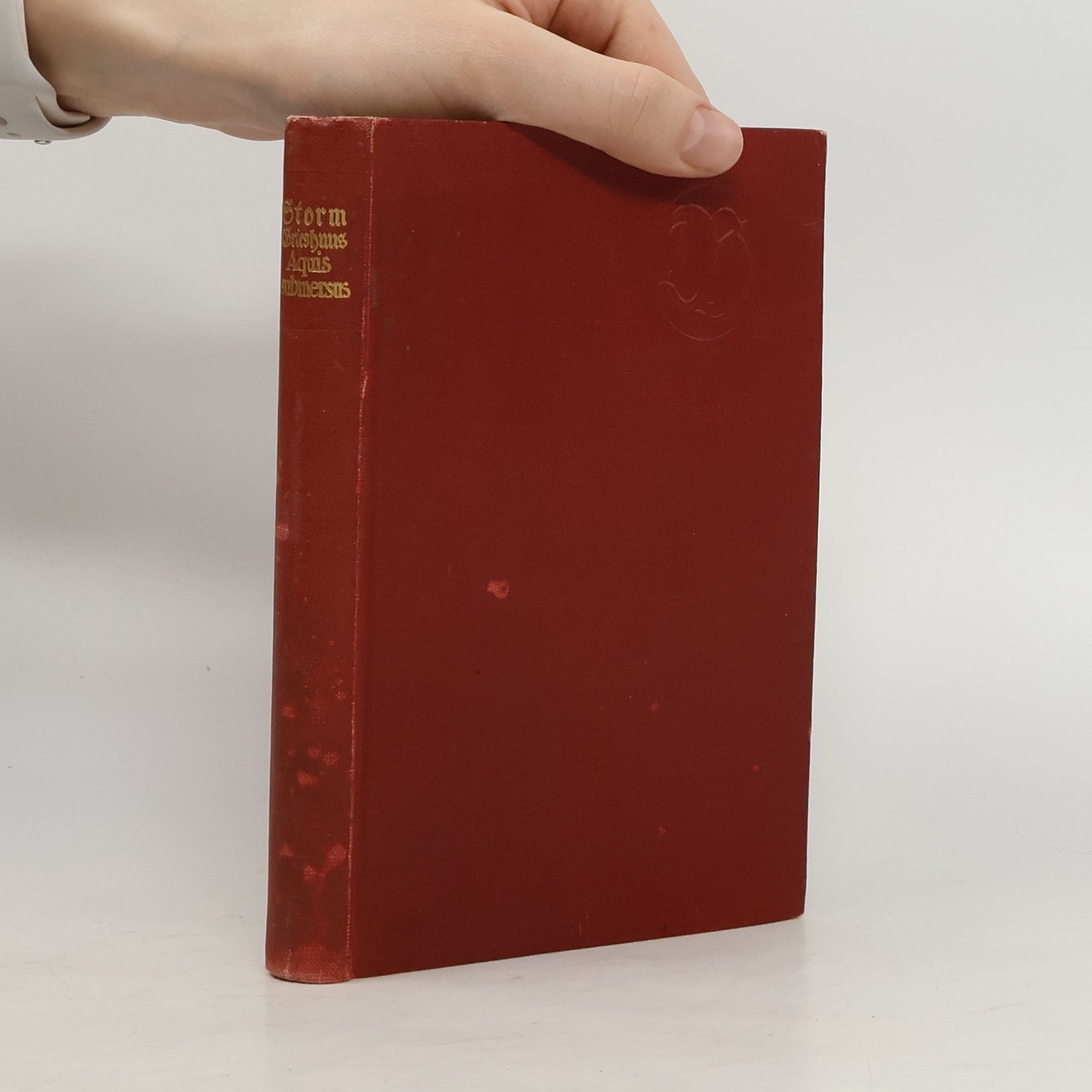 Theodor Storm Zur Chronik von Grieshuus. Aquis submersus