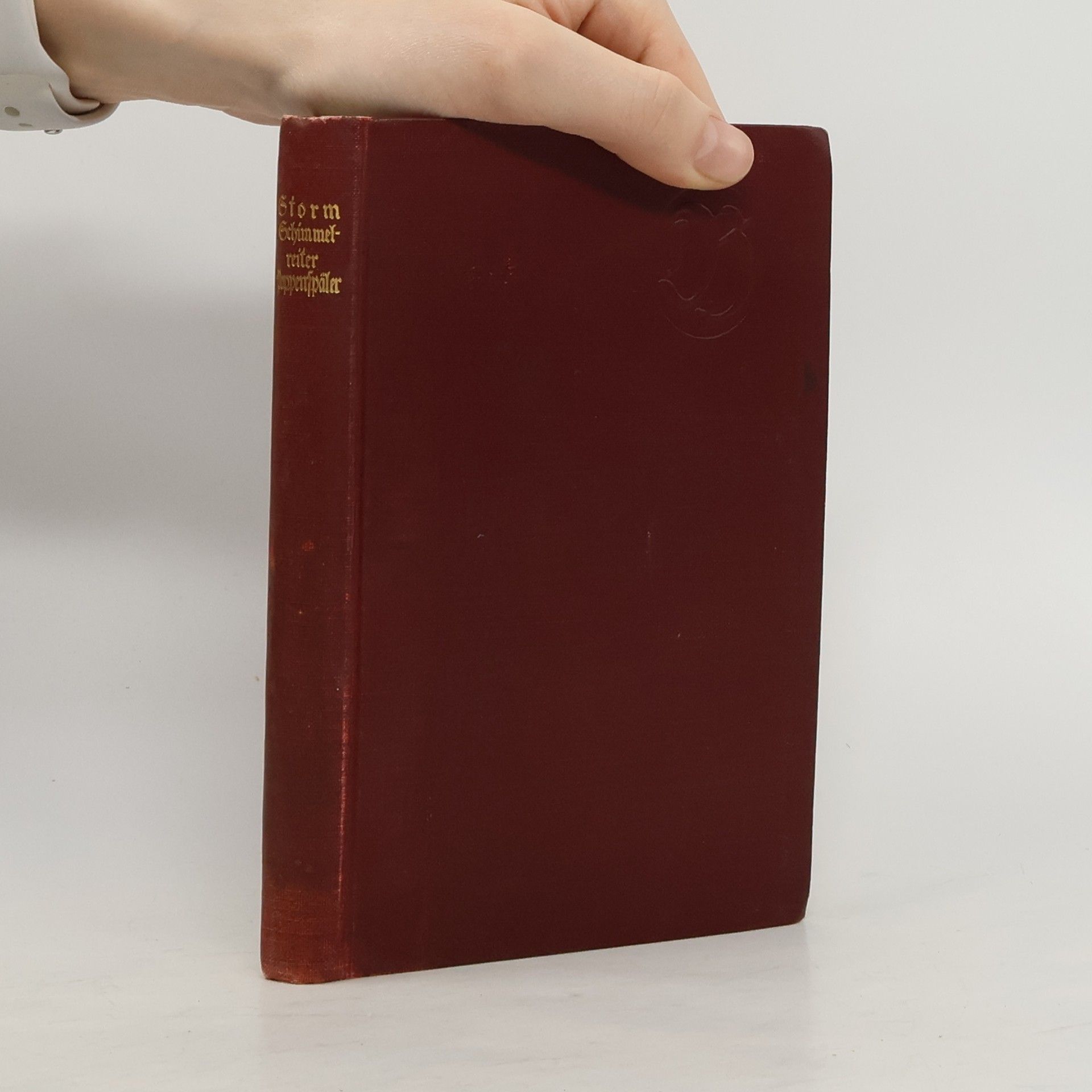 Theodor Storm Der Schimmelreiter Pole Poppenspäler