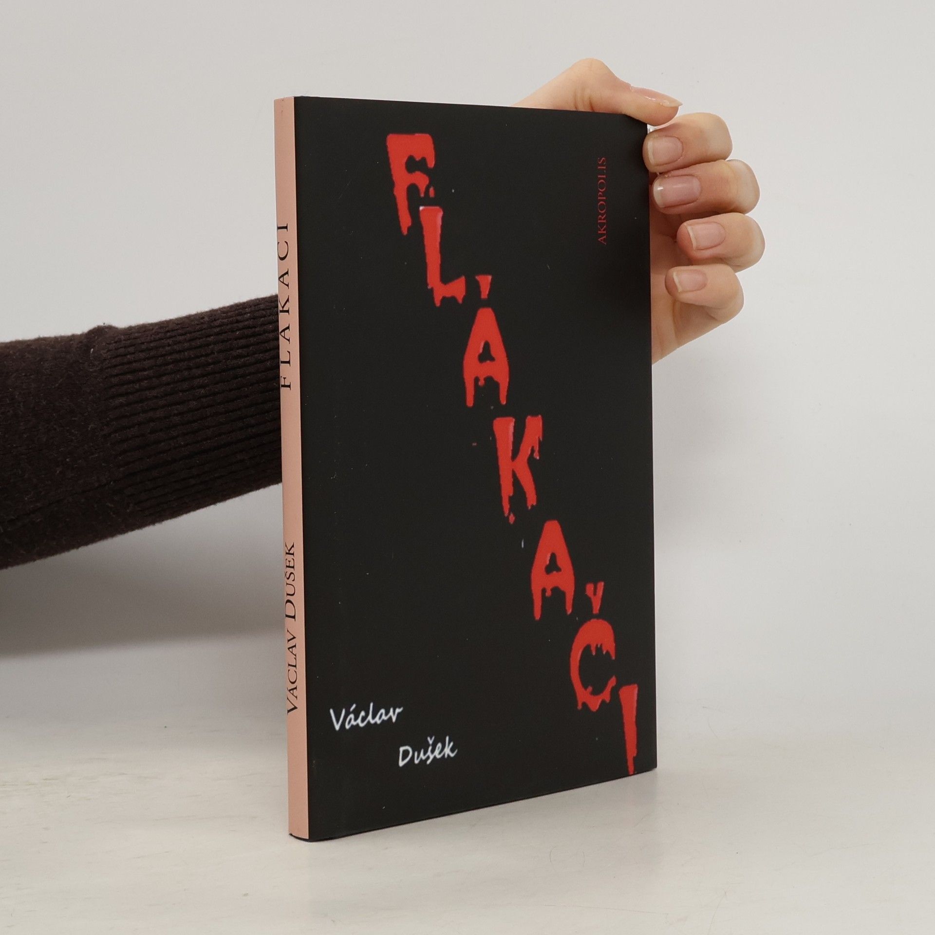 Václav Dušek Flákači