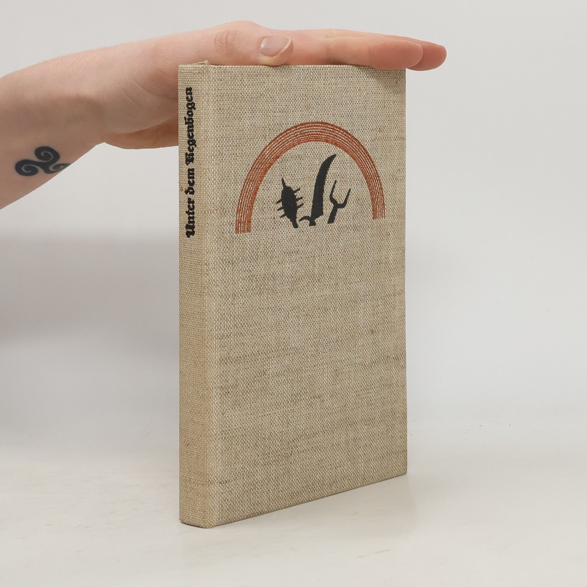 Kolektiv autorů Unter dem Regenbogen