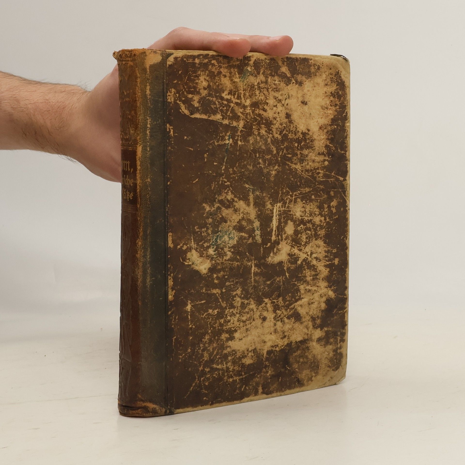 Autorenkollektiv Deutsche Aufsätze