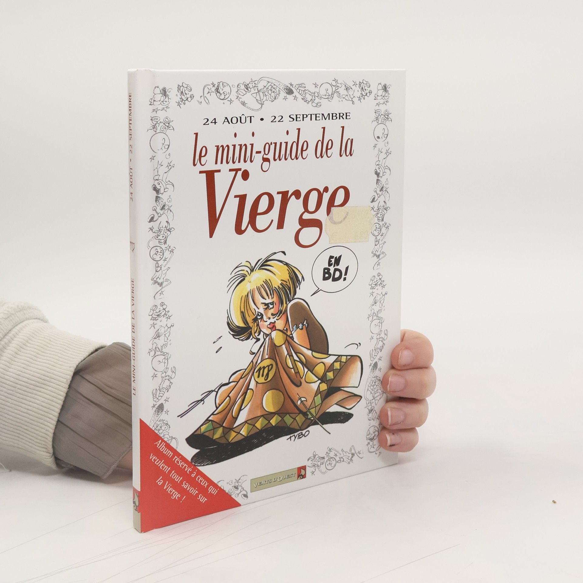 Tybo Le mini-guide de la Vierge en BD