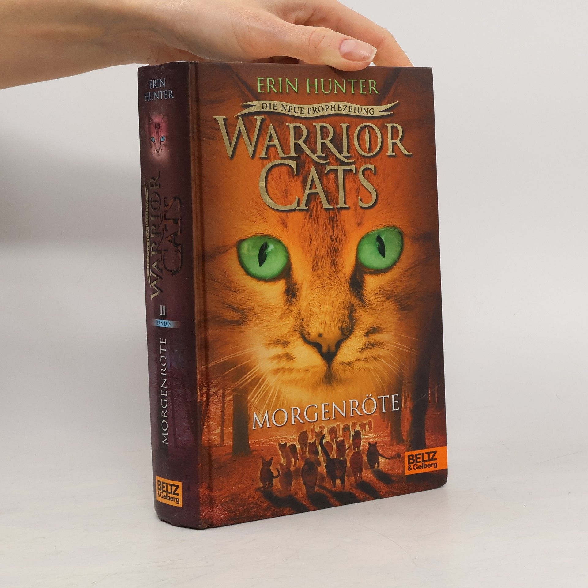 Erin Hunter Warrior Cats - Morgenröte