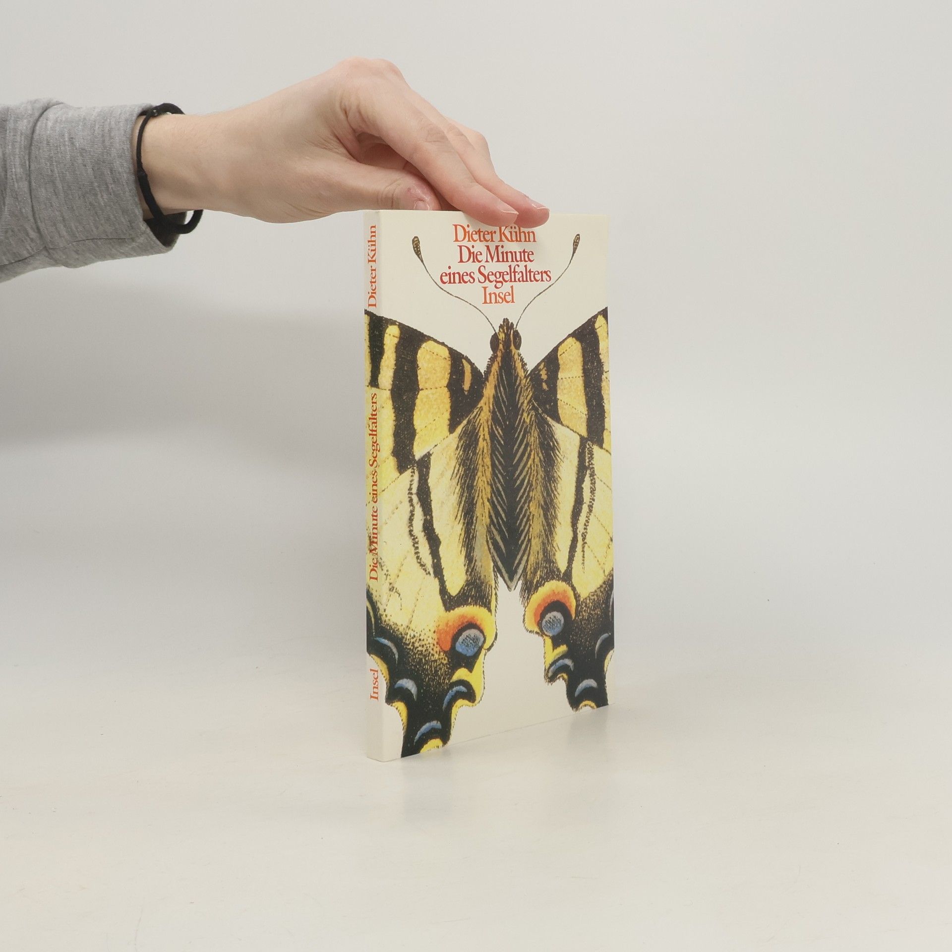 Dieter Kuhn Die Minute eines Segelfalters
