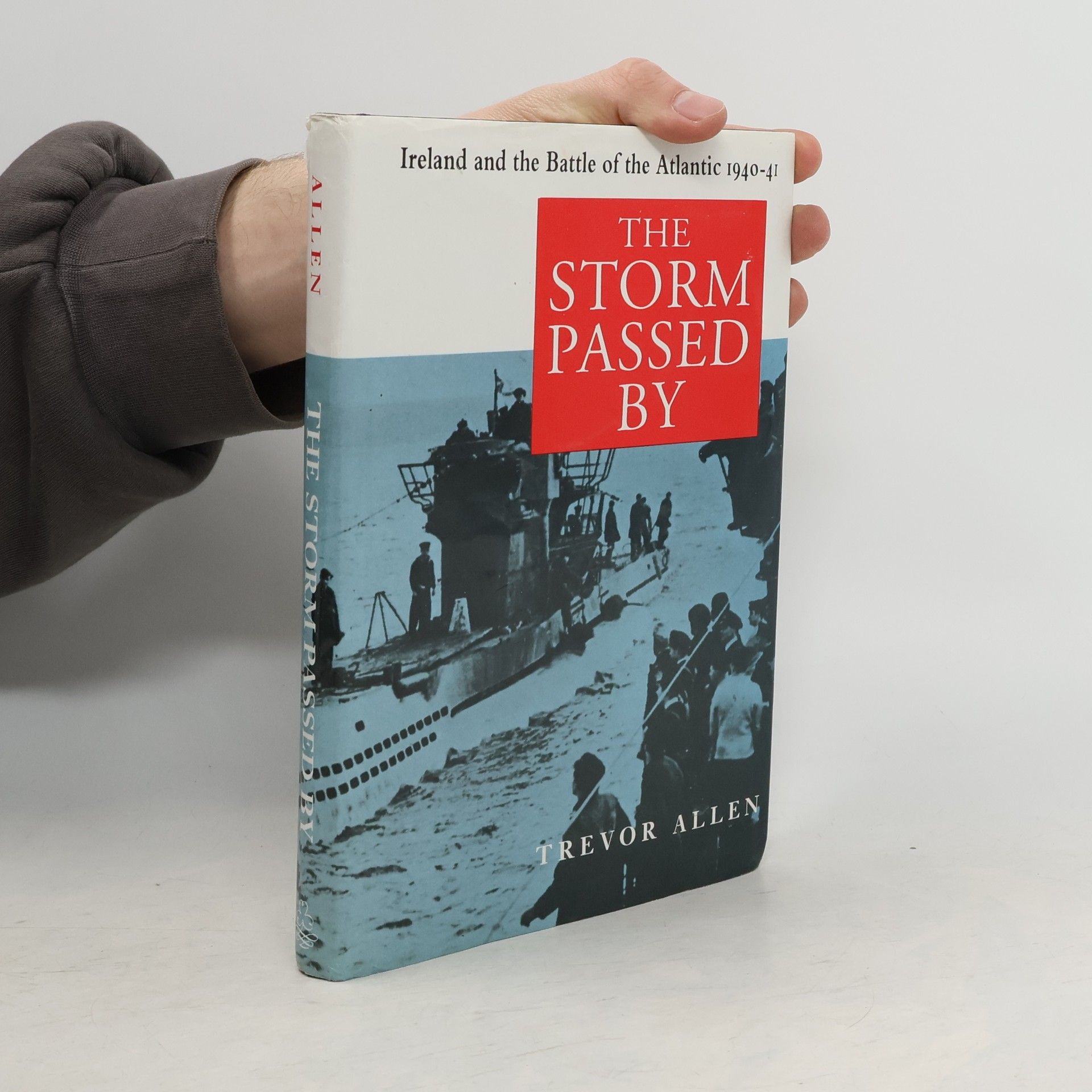 Trevor Allen The Storm Passed By