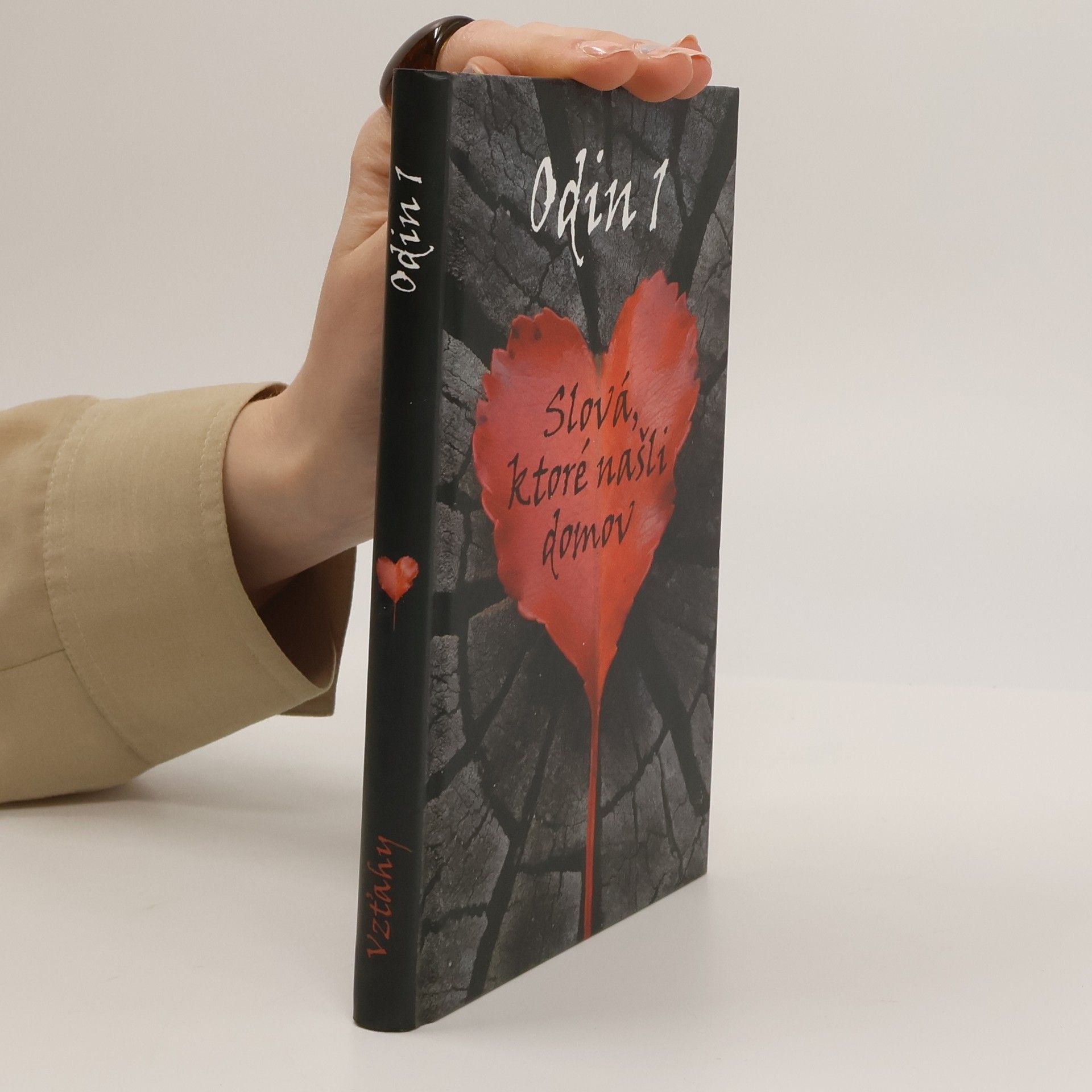 Kolektiv autorů Slová, ktoré našli domov