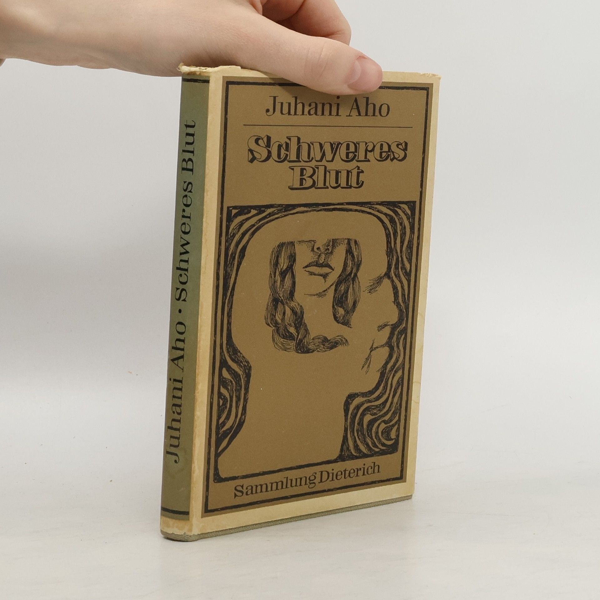Juhani Aho Schweres Blut