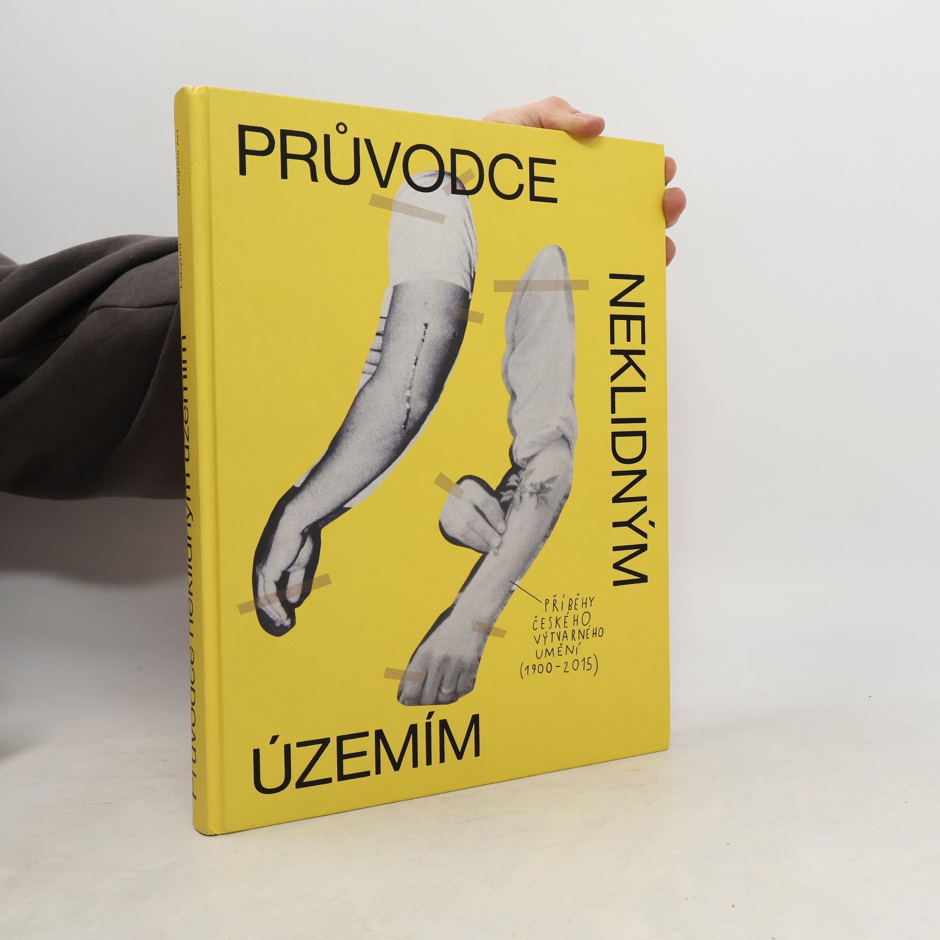 Průvodce neklidným územím. Příběhy českého výtvarného umění (1900-2015)